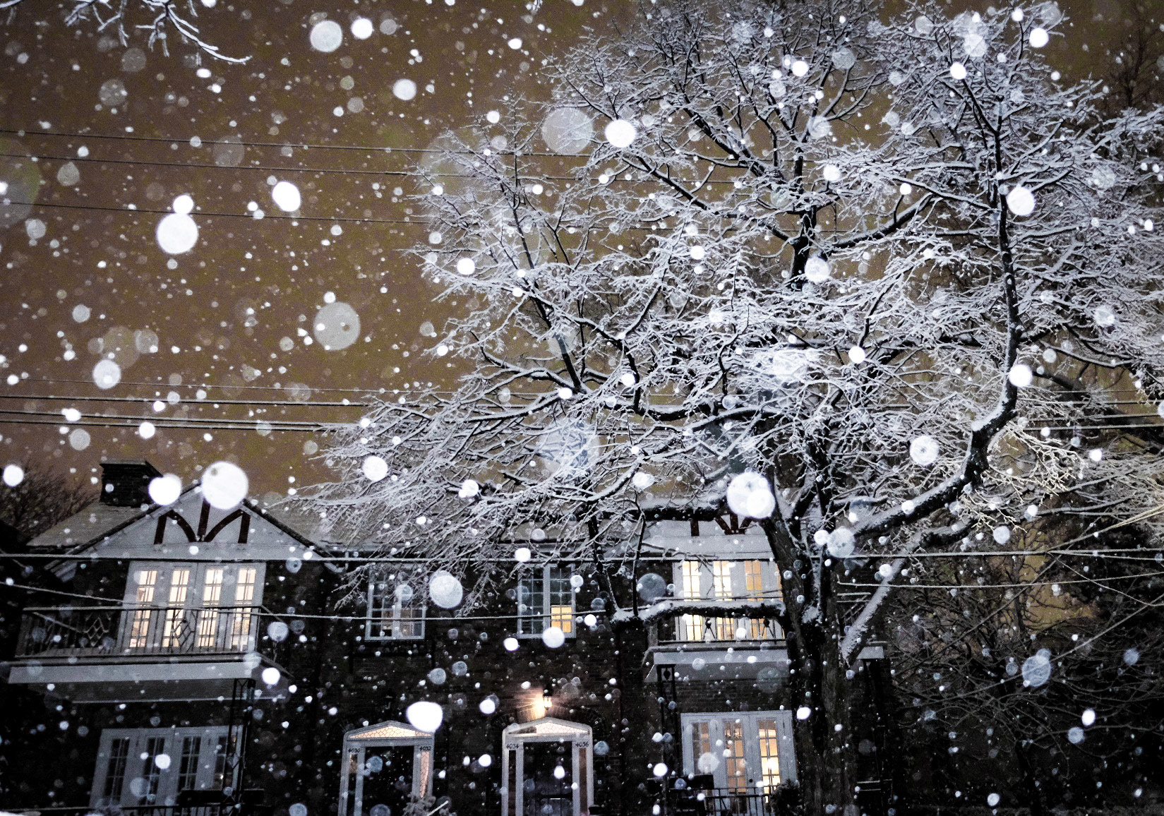 Dernière neige