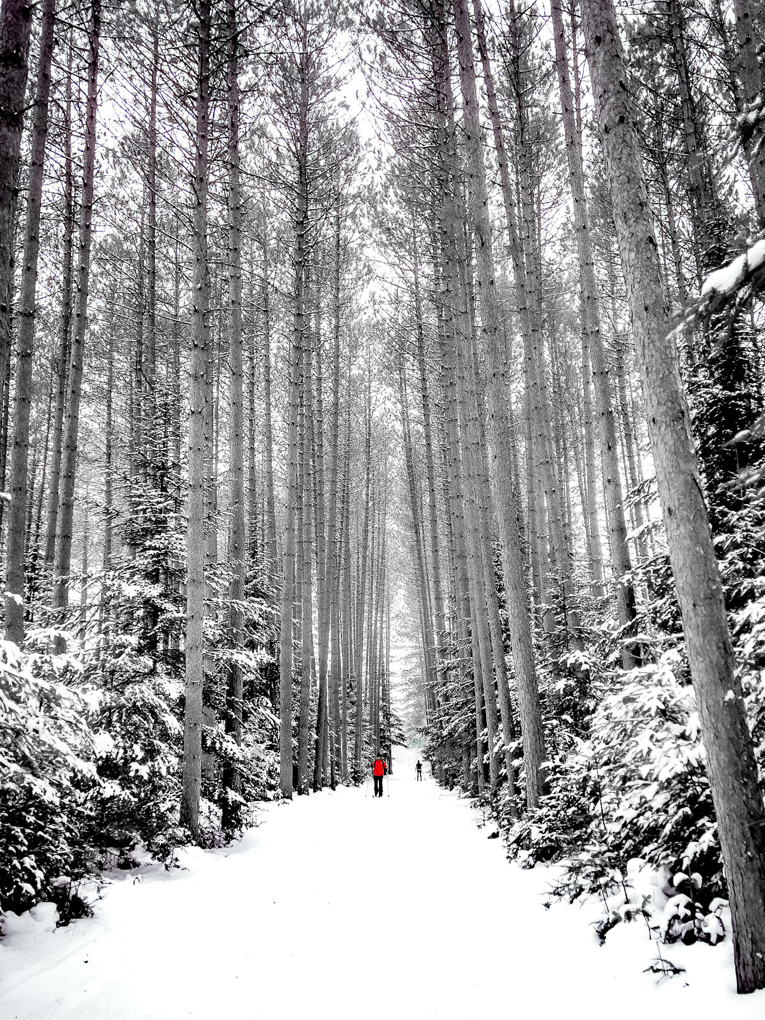 Chemin blanc