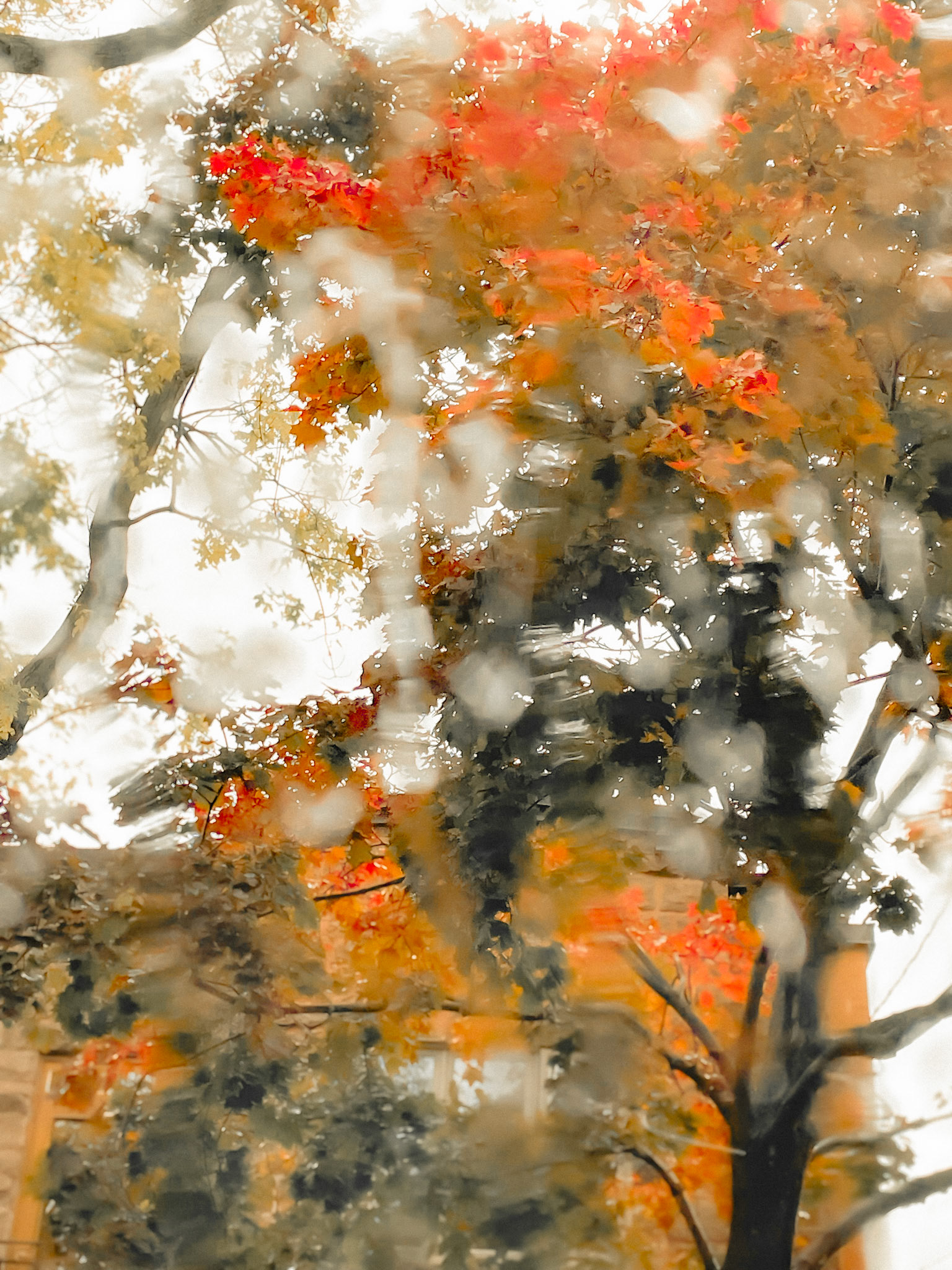 Aquarelle