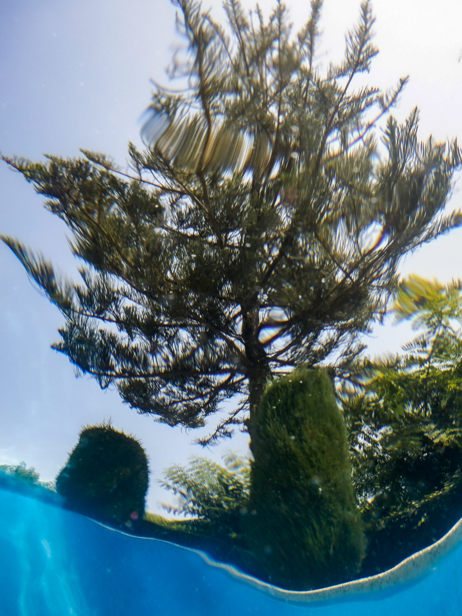 La piscine 2