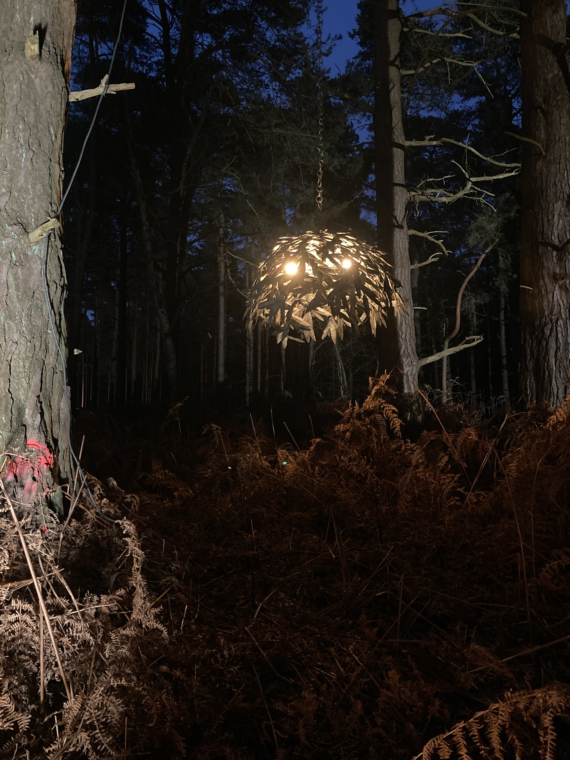 The Florence chandelier is lit up in a forest at night on the set of the Porta Romana 35th anniversary film.