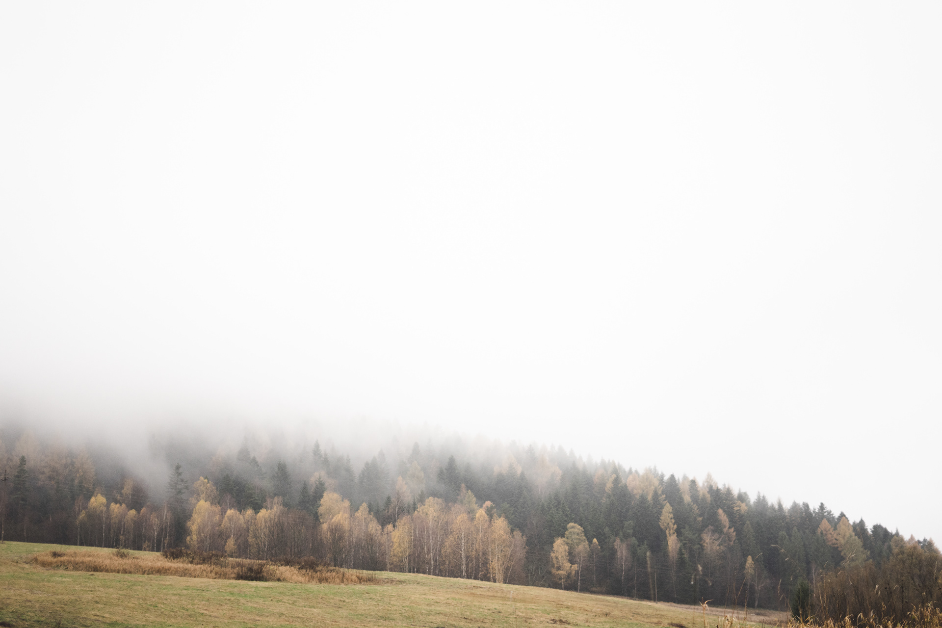 Bieszczady, 2019