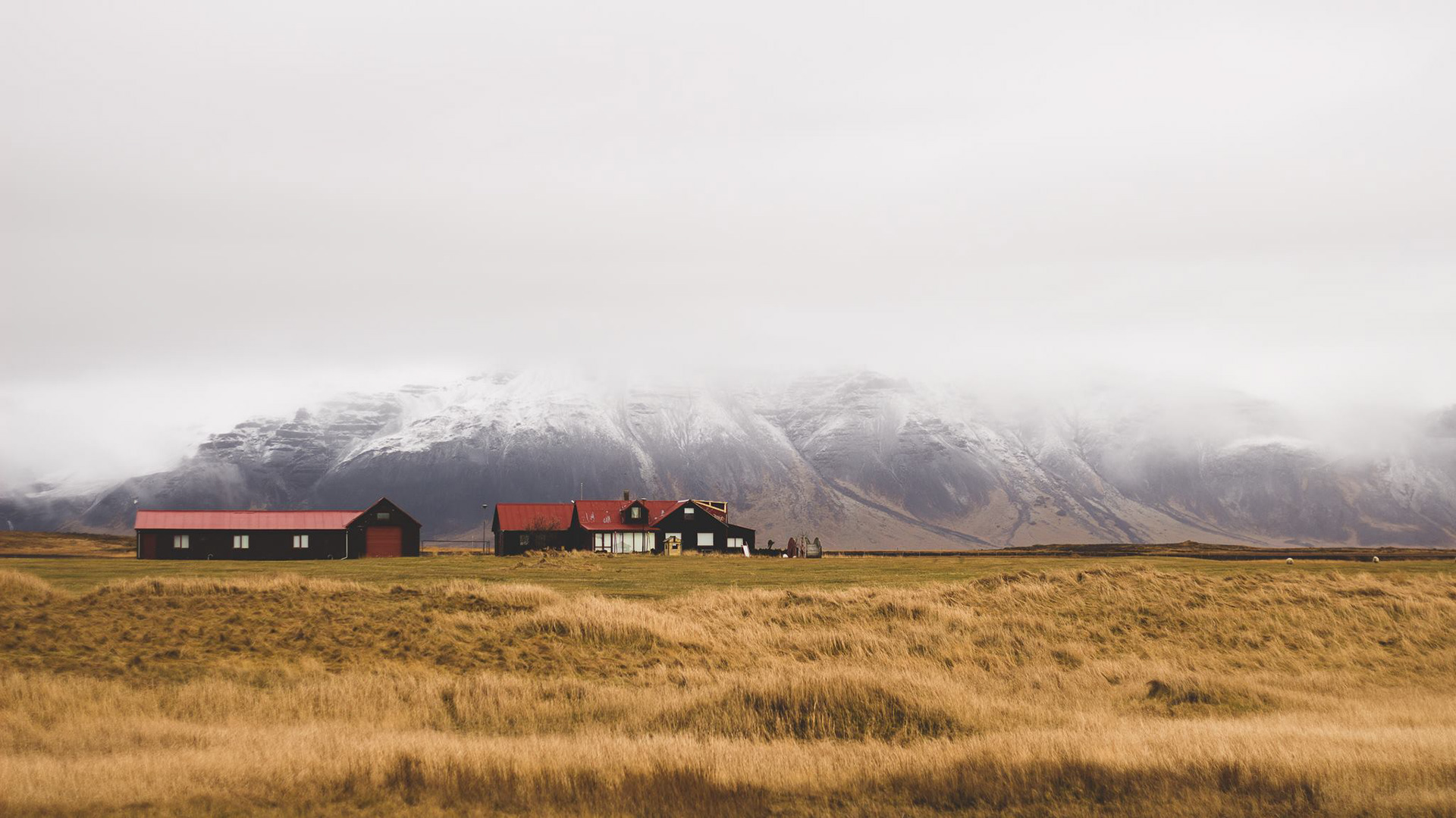 Islandia // samotność, repryza