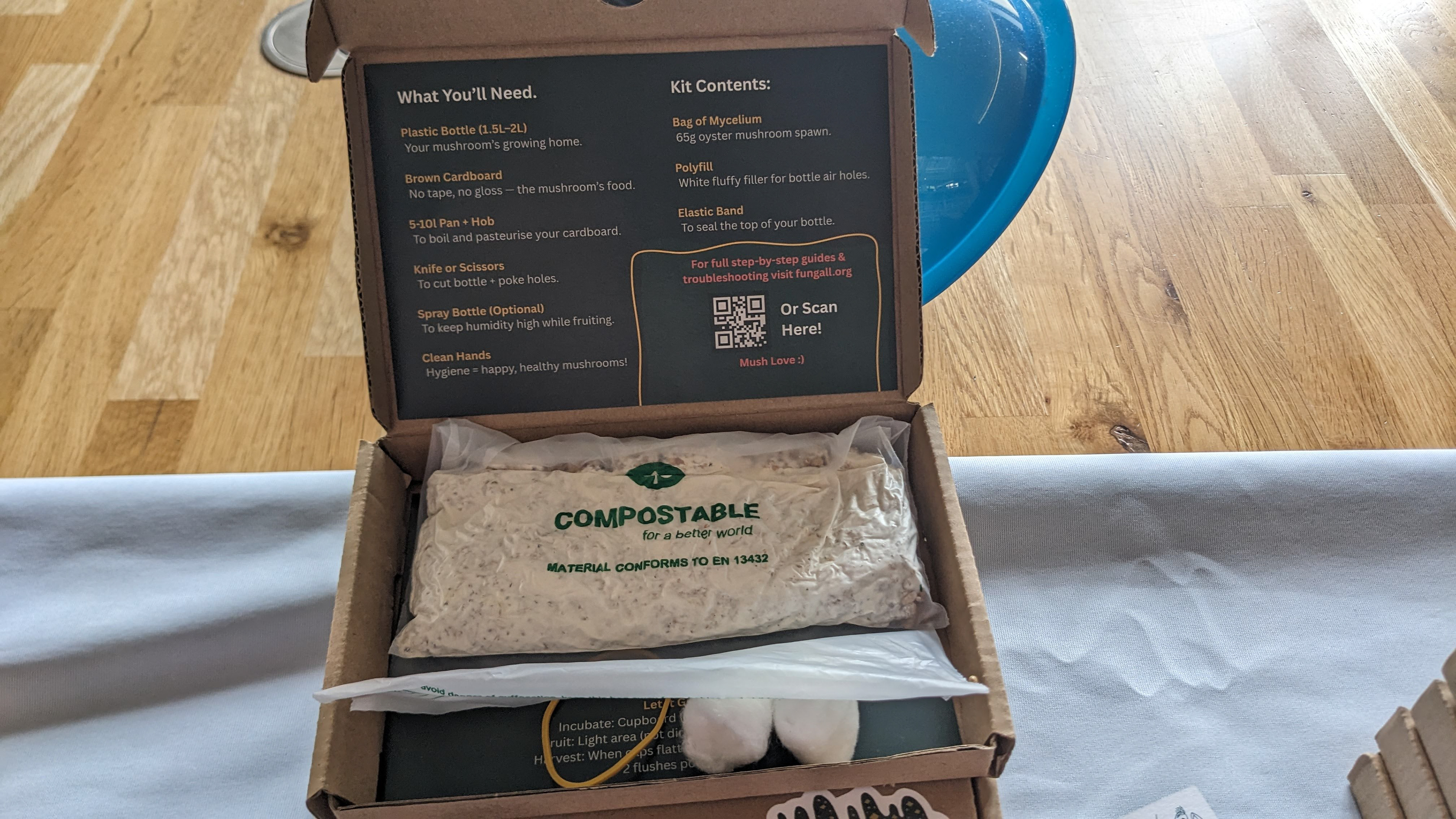 FungALL mushroom grow kit