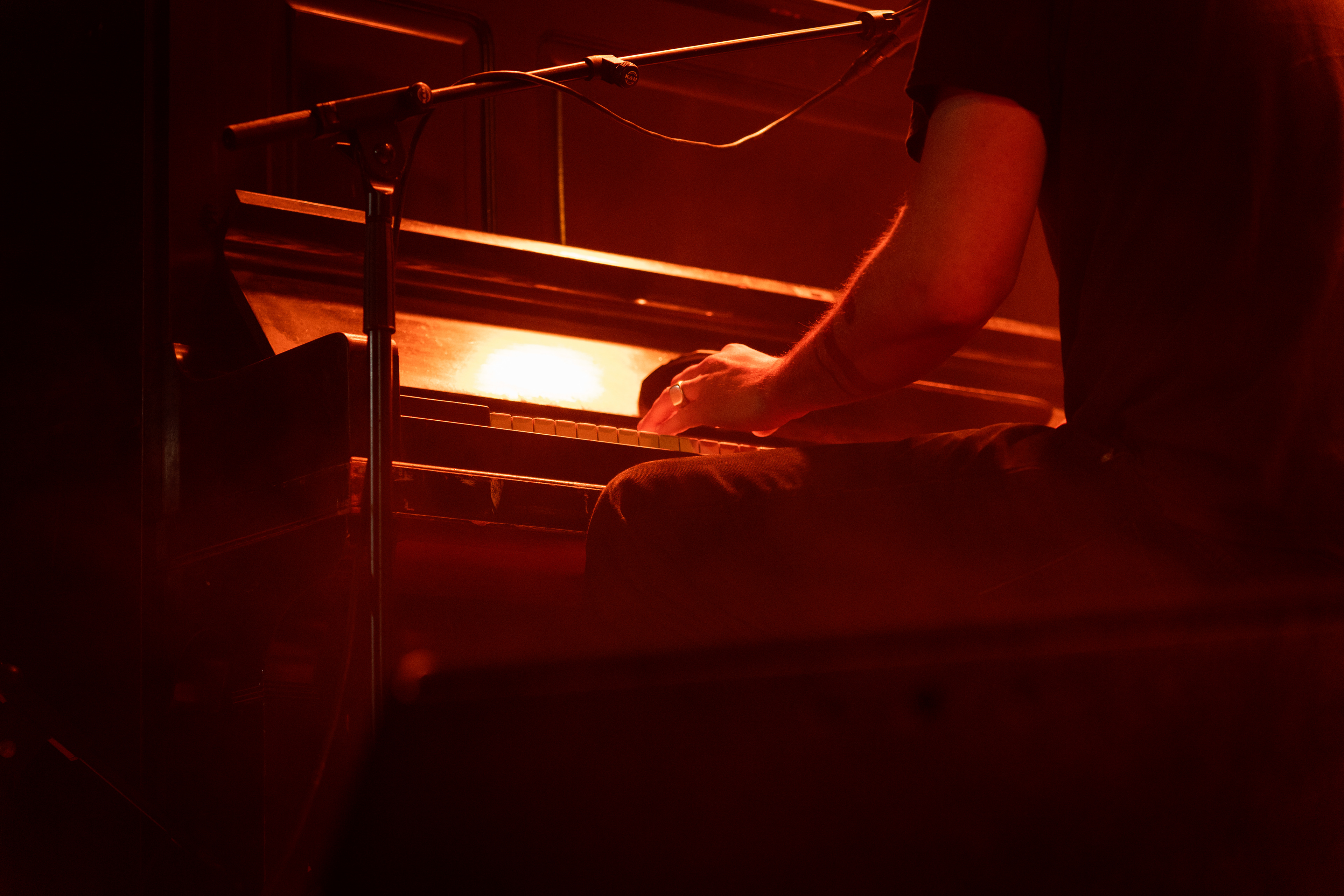 Daniel Norgren
