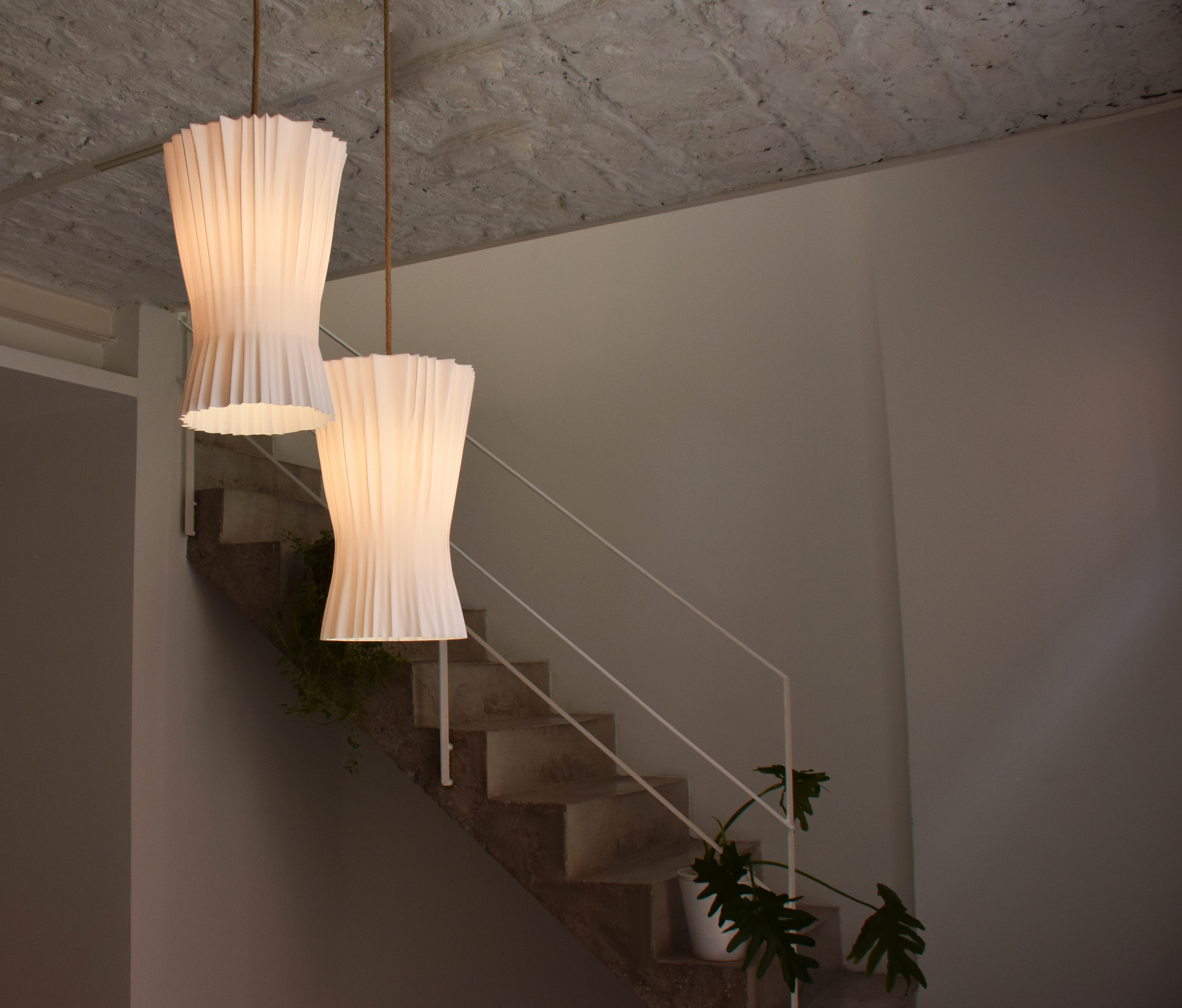 Hanging Cactu - Photo Lola Toyos