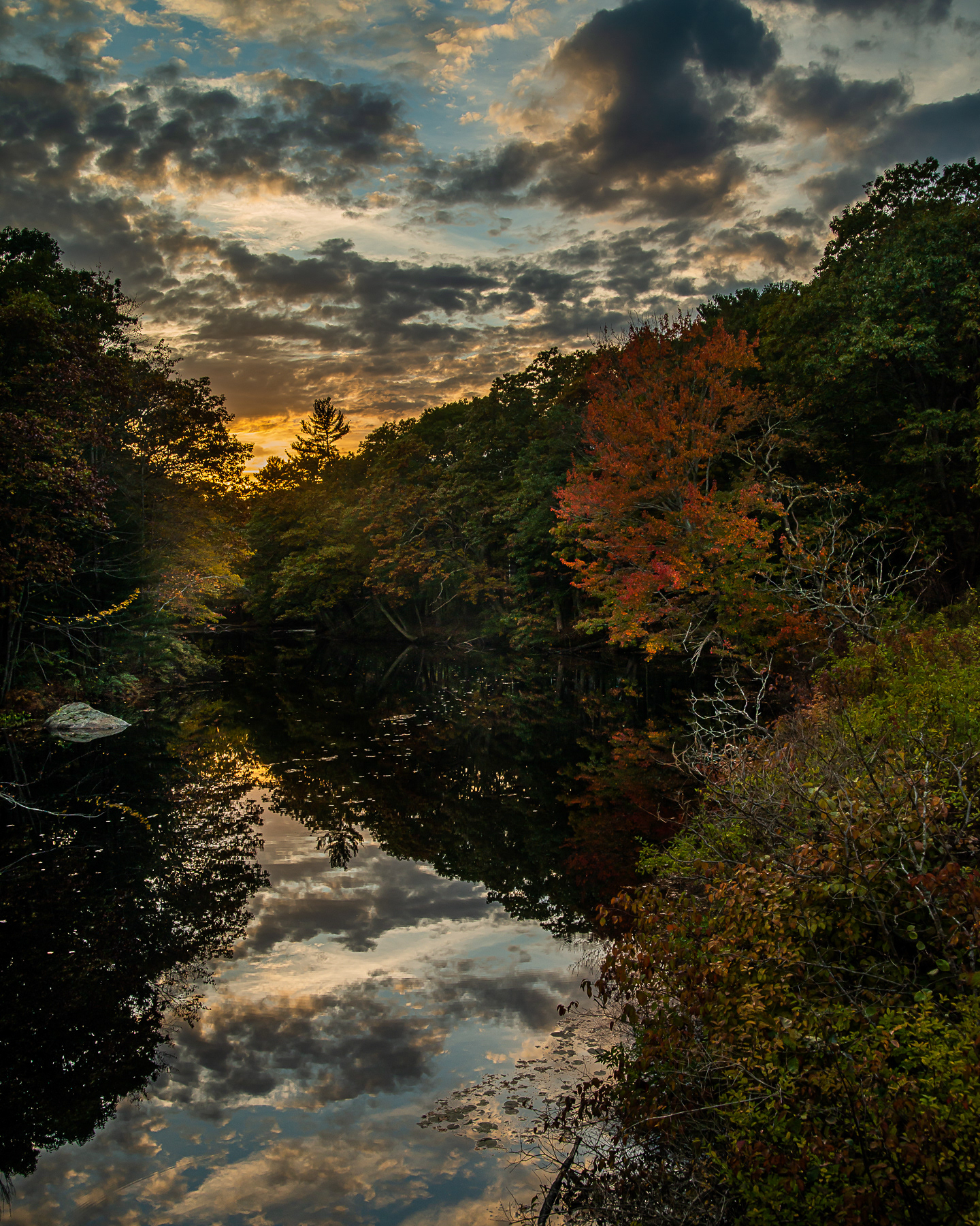 Forgotten River