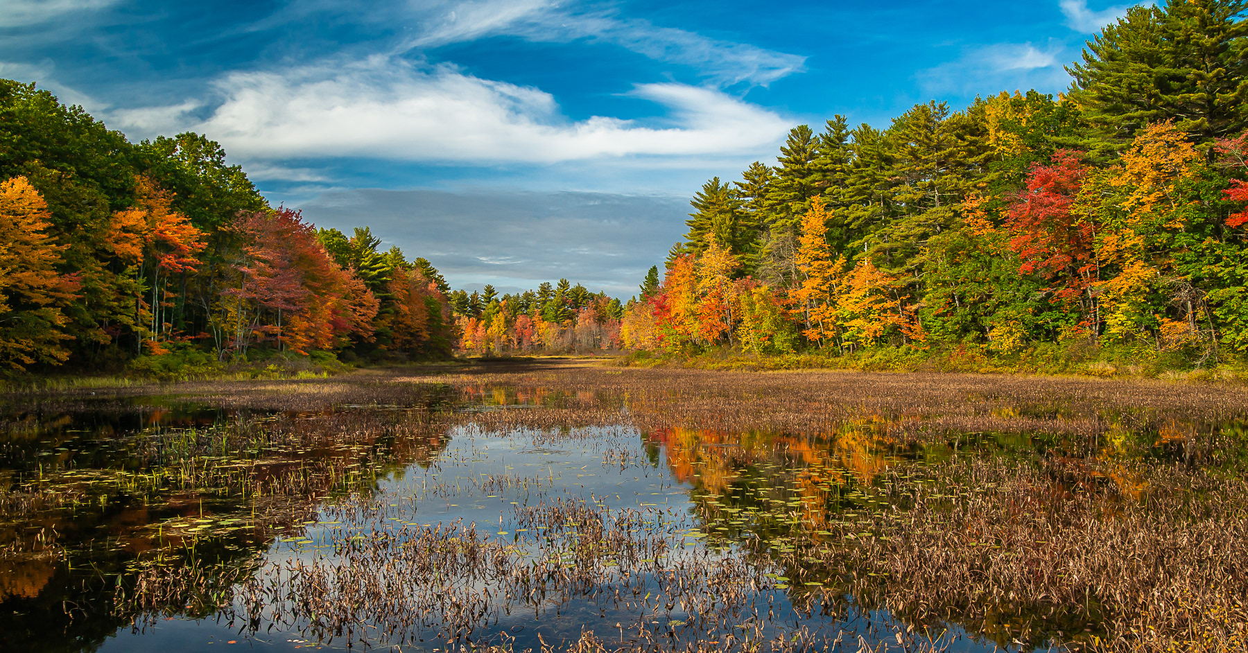 Middle Range Pond
