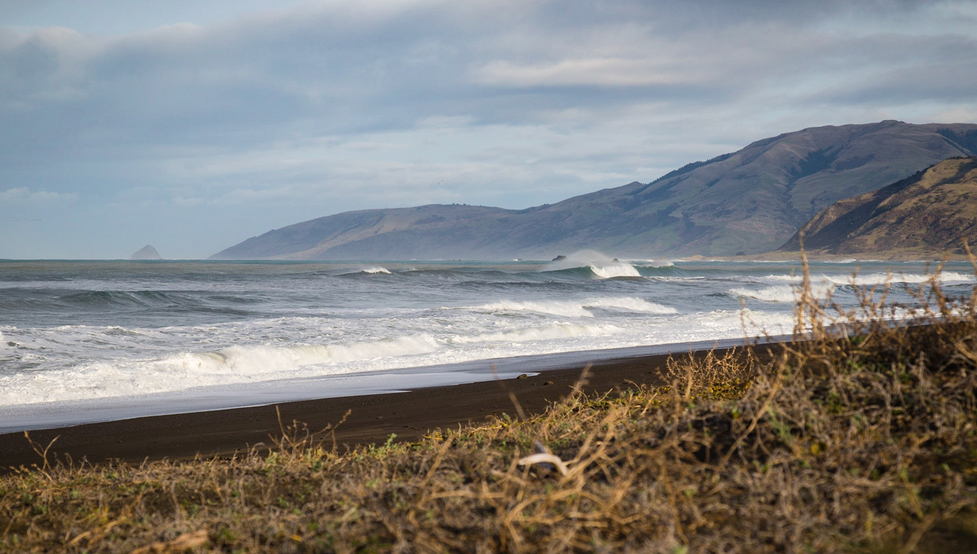 At the northern end of the lost coast wilderness trail at Mattole Beach.