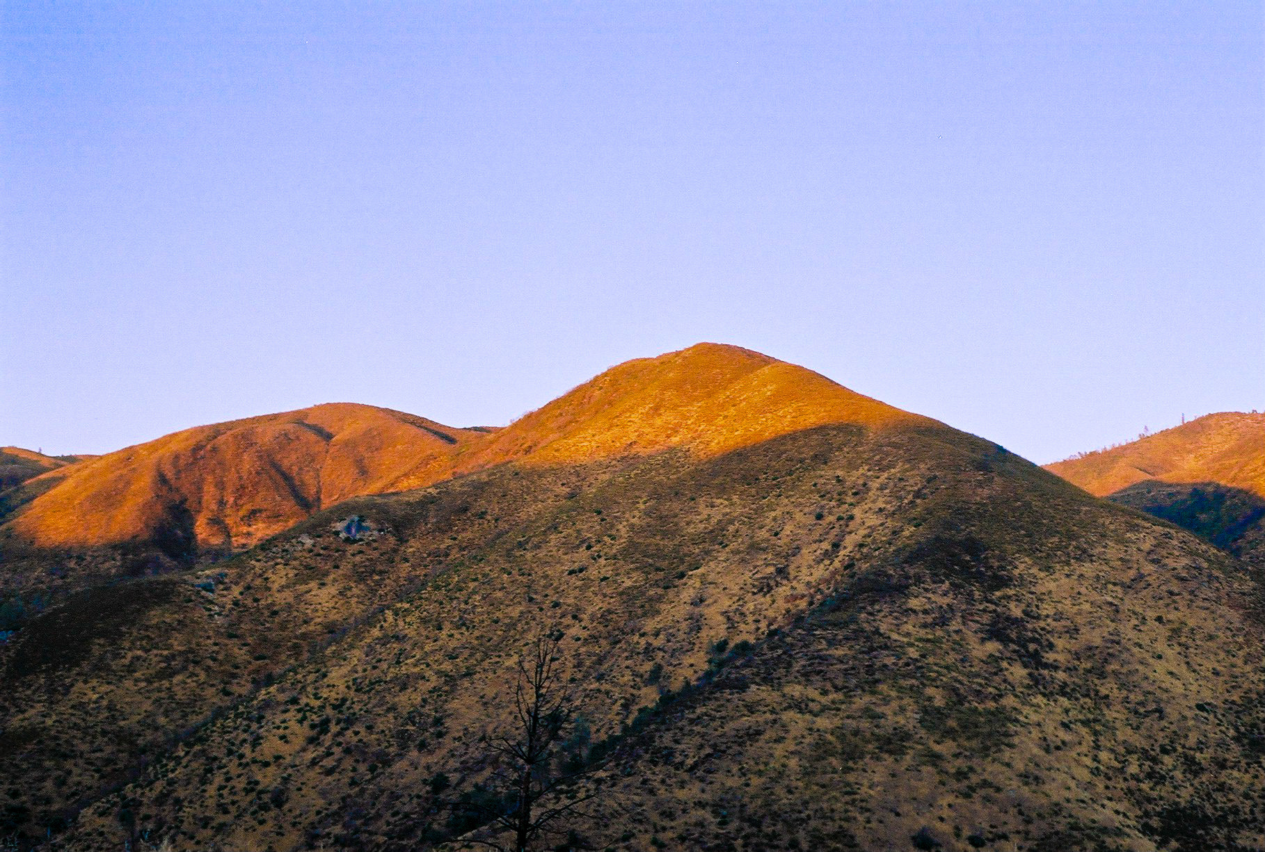 Mammoth Lakes, 2024 — Nikon F75, Kodak Colorplus 200