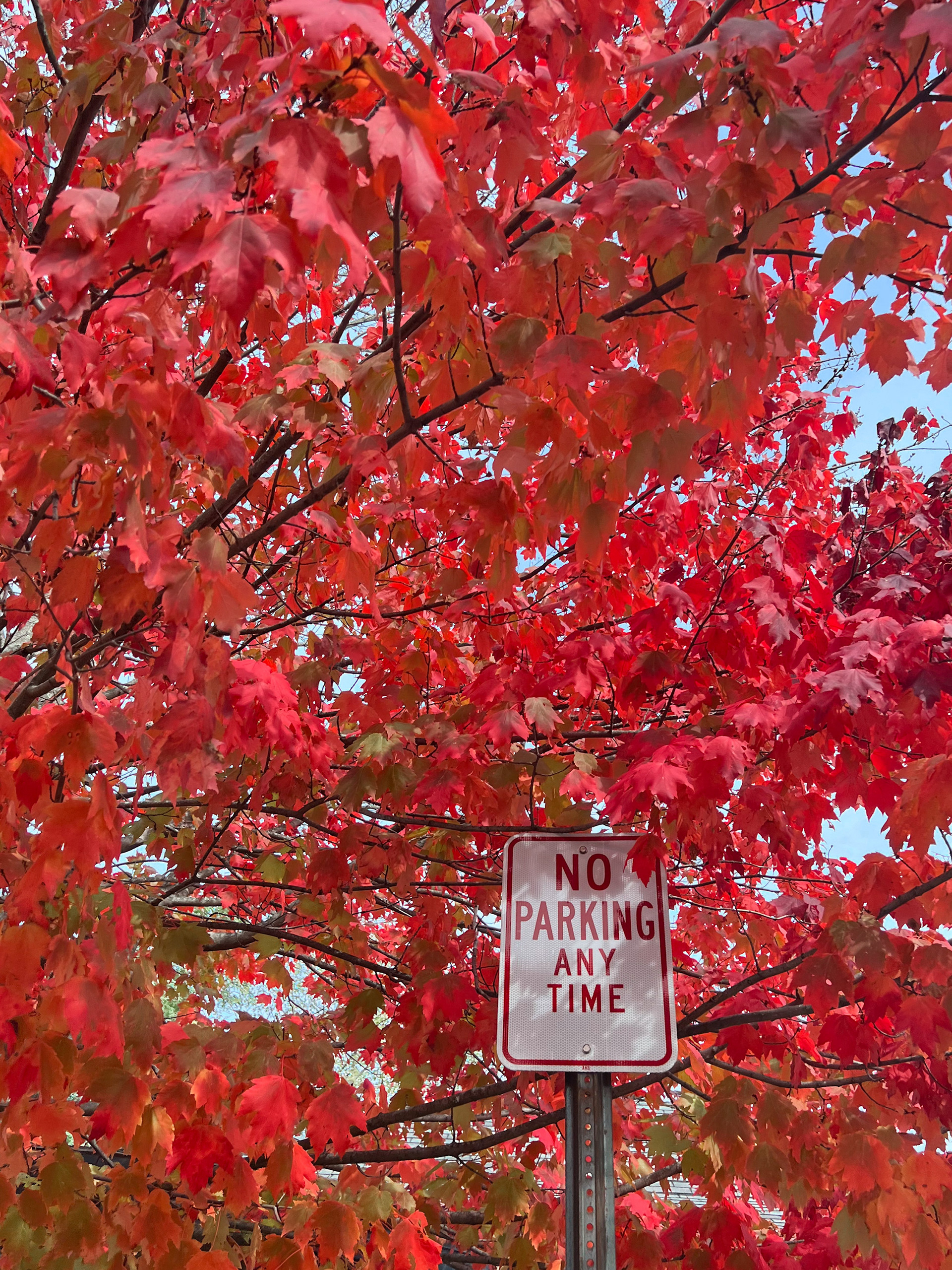 Boston, 2022 — iPhone 13 Pro