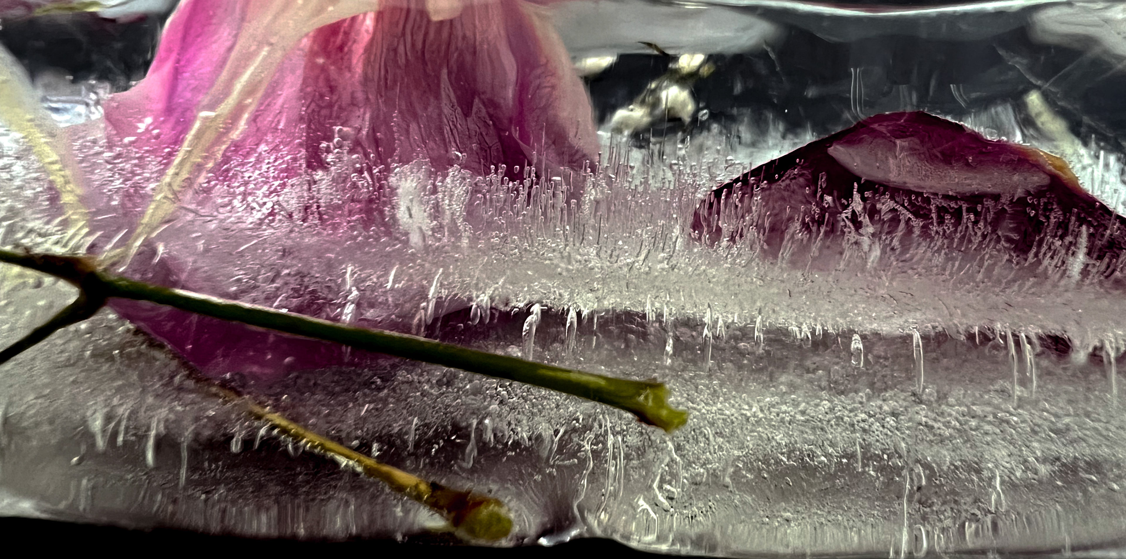 Jakarta, 2022 — iPhone 13 Pro