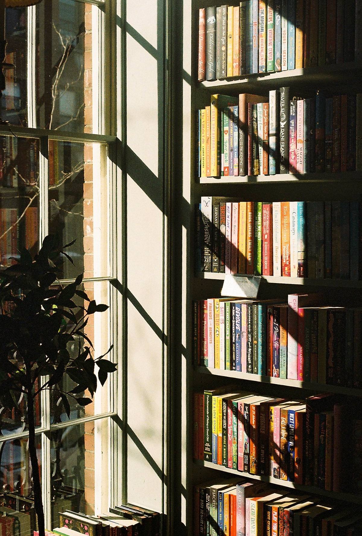 Boston, 2026 — Nikon F75, Kodak Colorplus 200