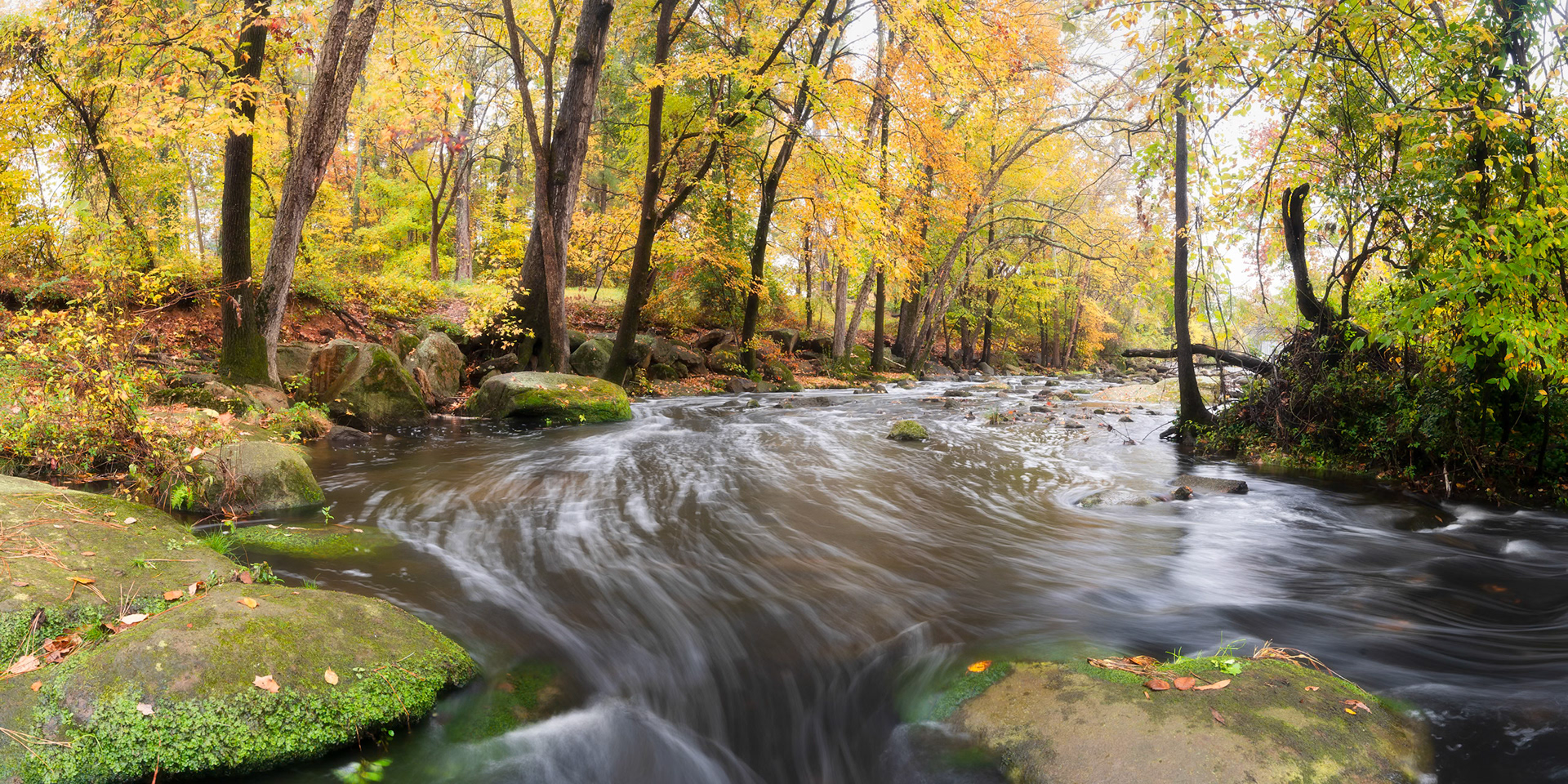 A River in Autumn
