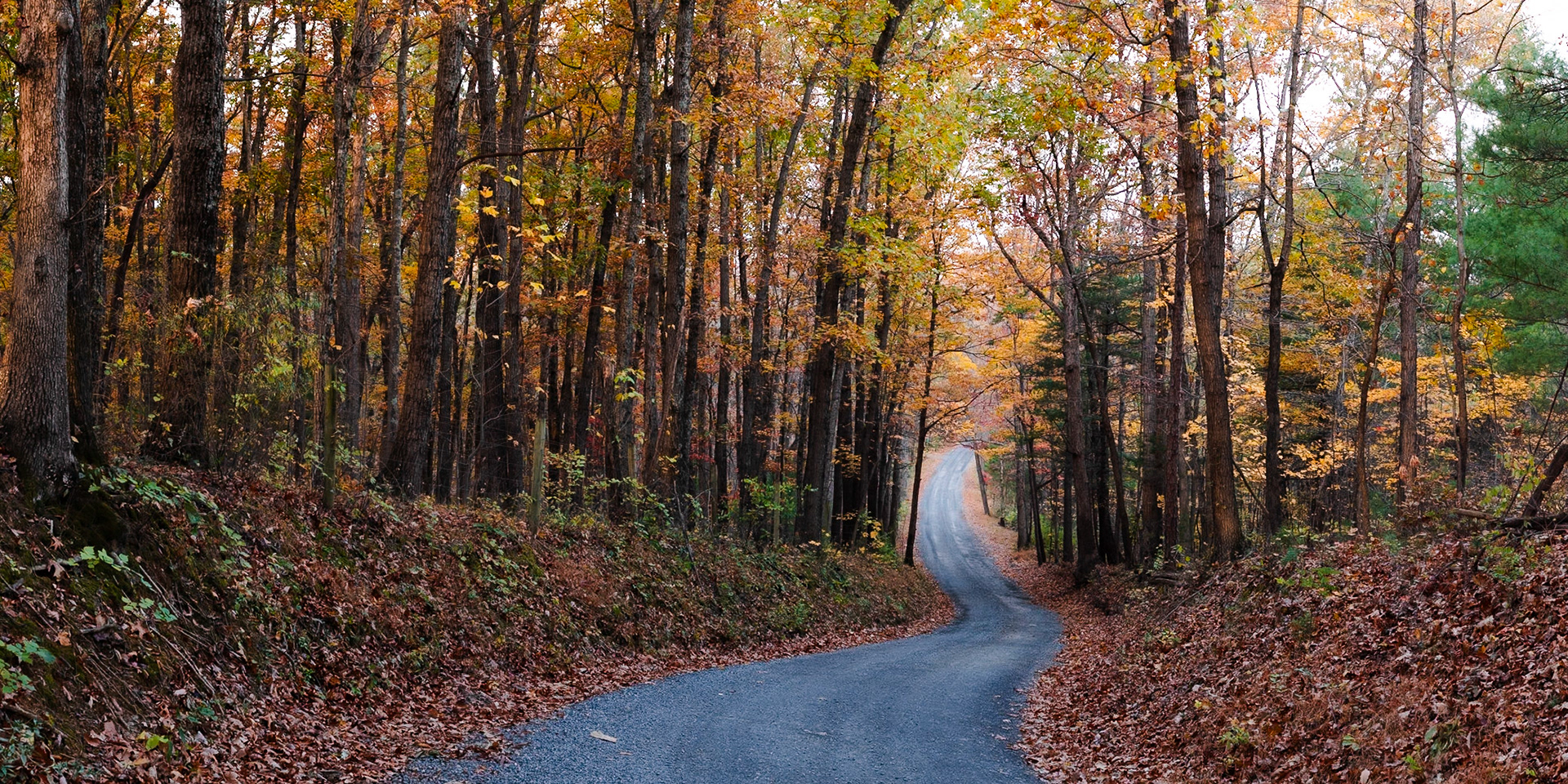 Follow the Road