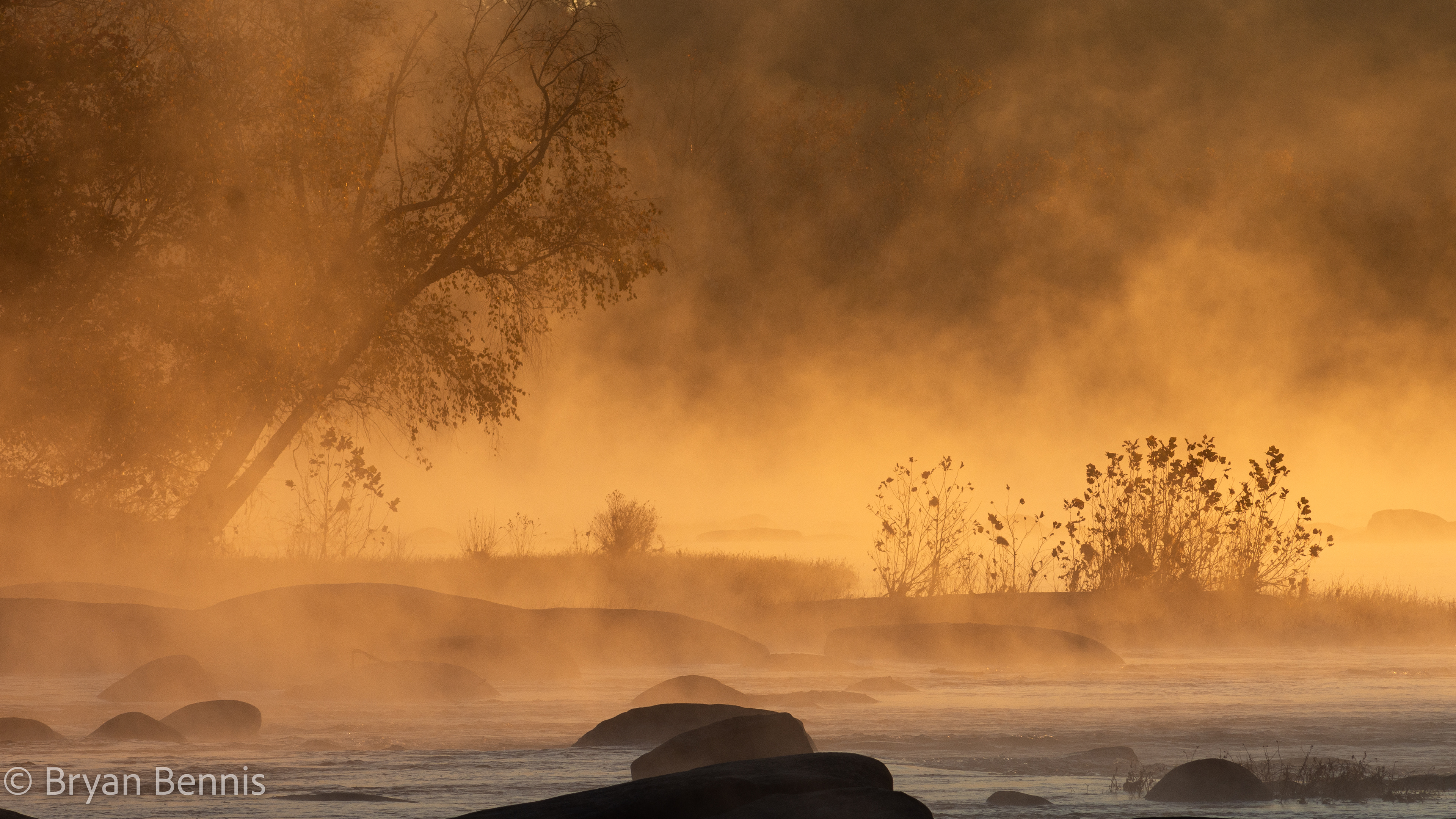 Hiding in the Fog