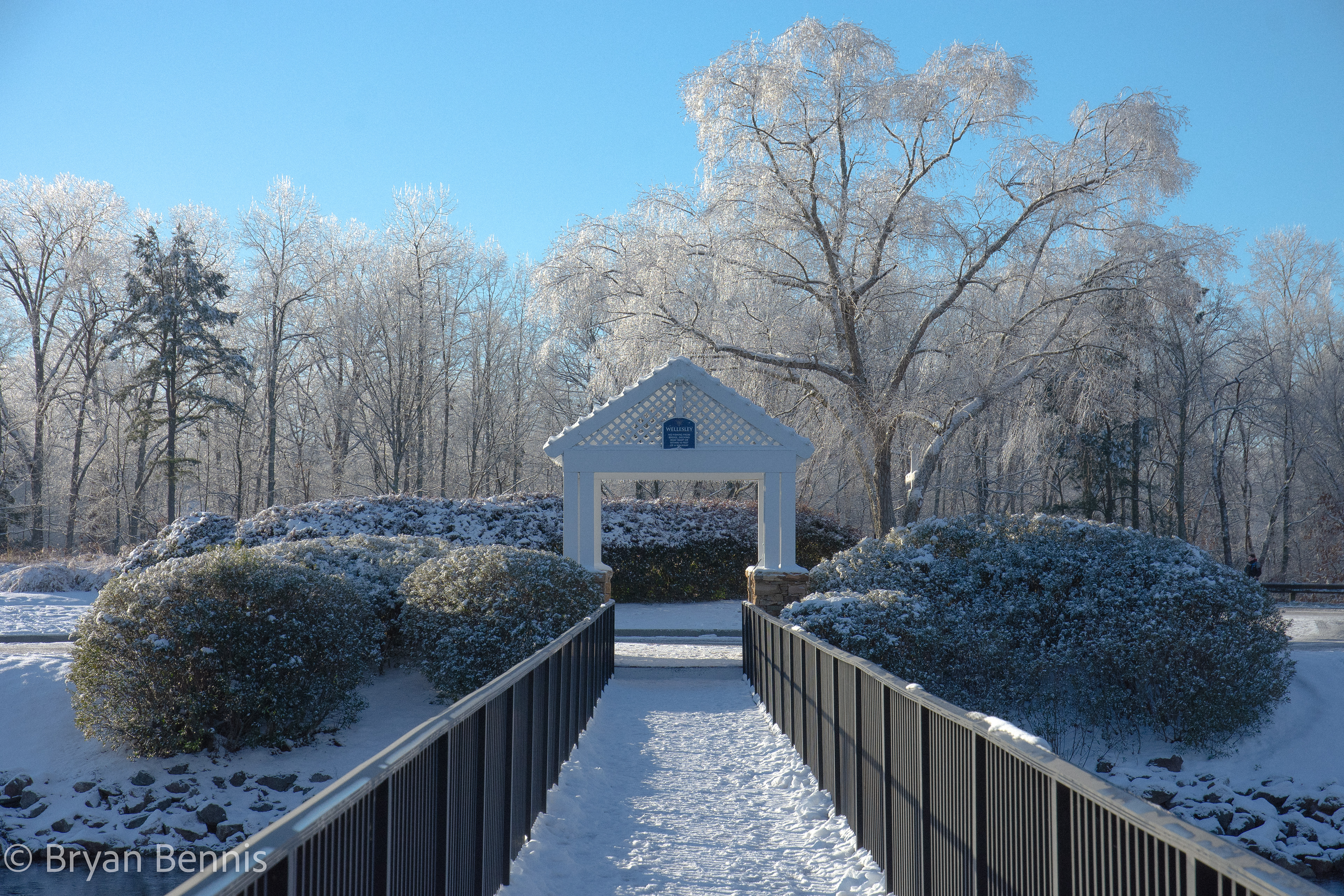 Winter Walkway