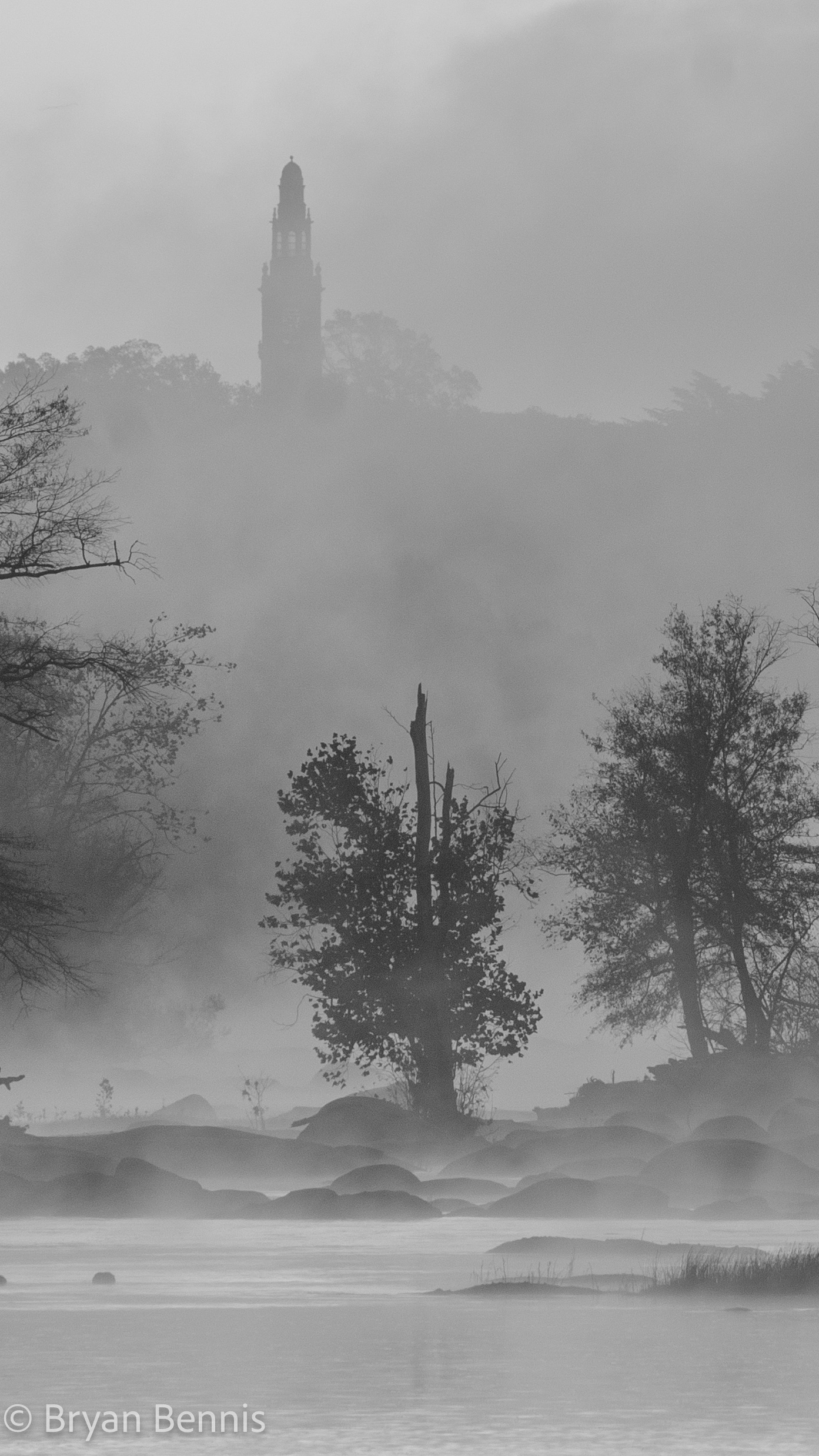 Through the Fog
