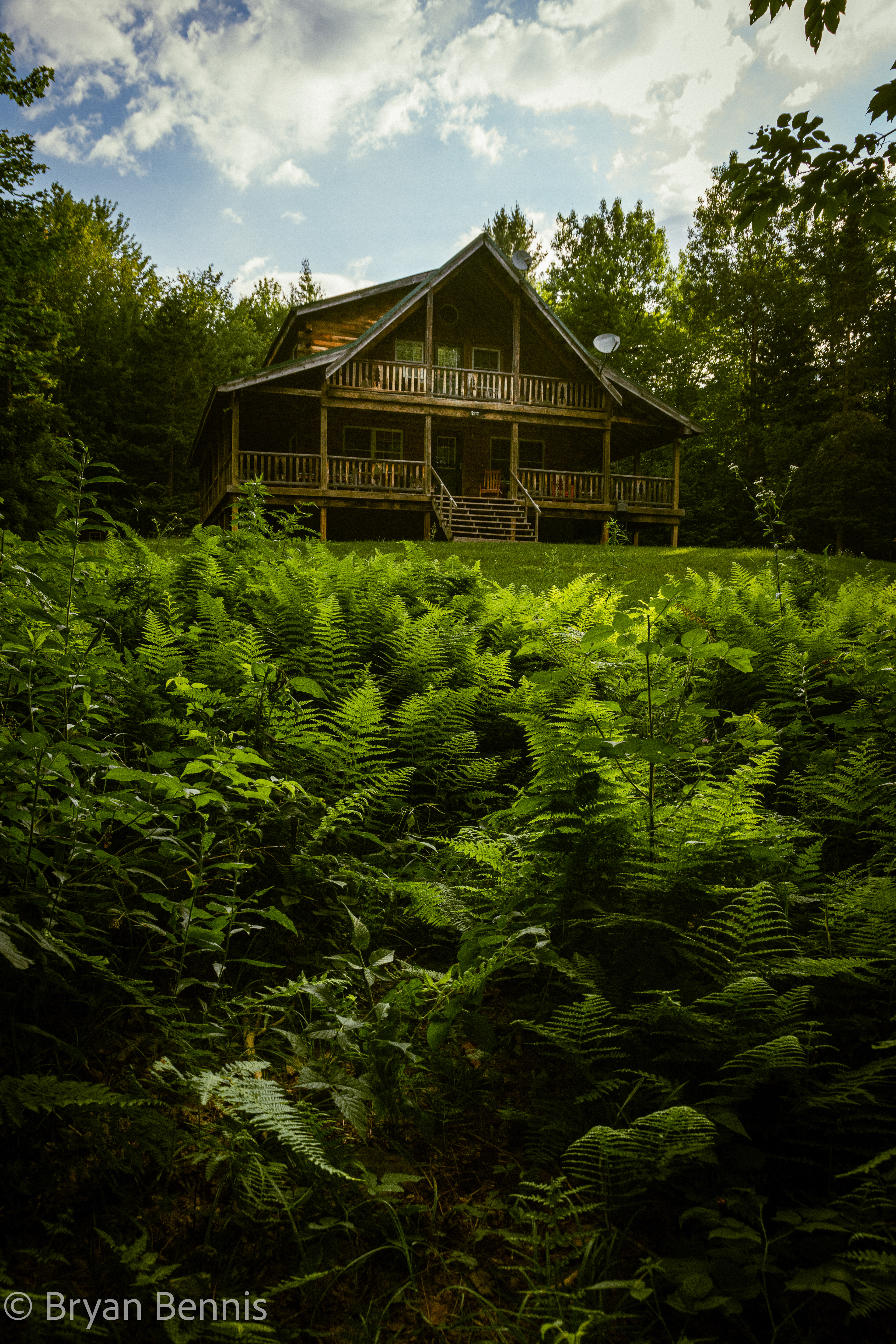 Lost in the Woods