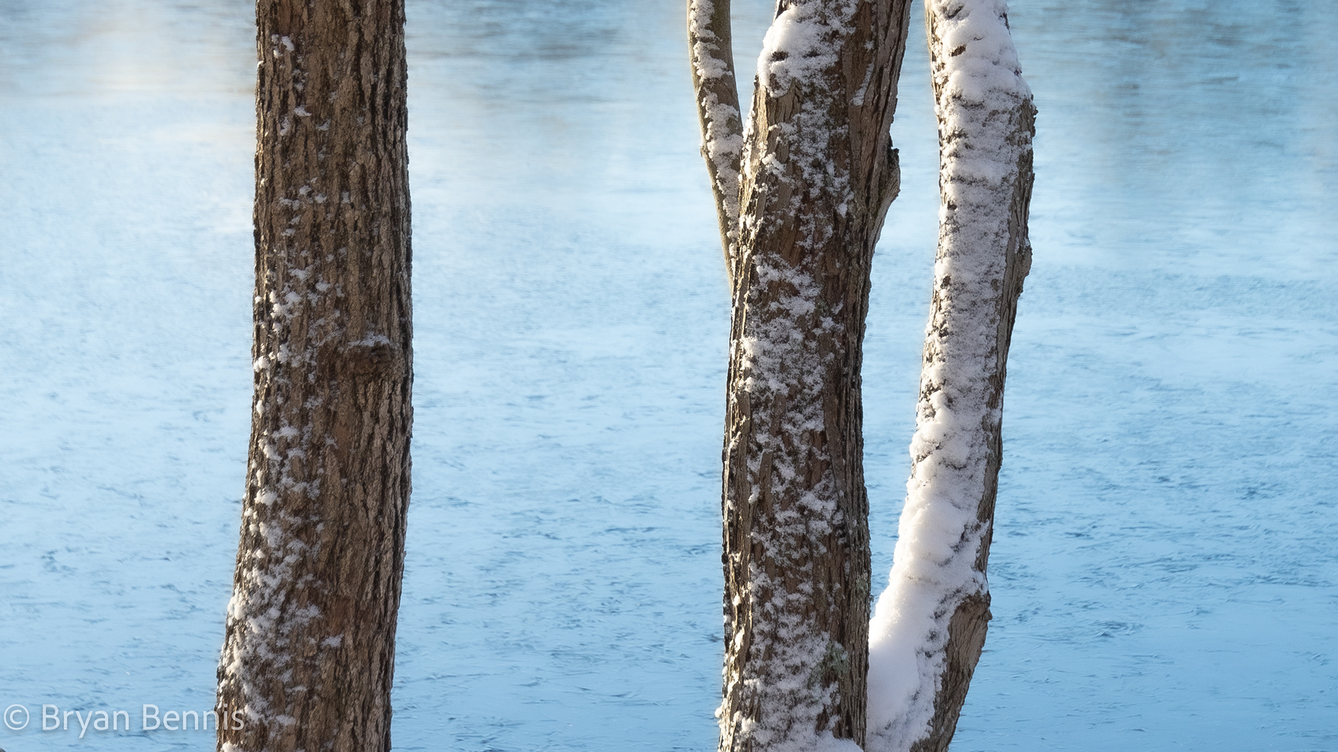 Three Branches