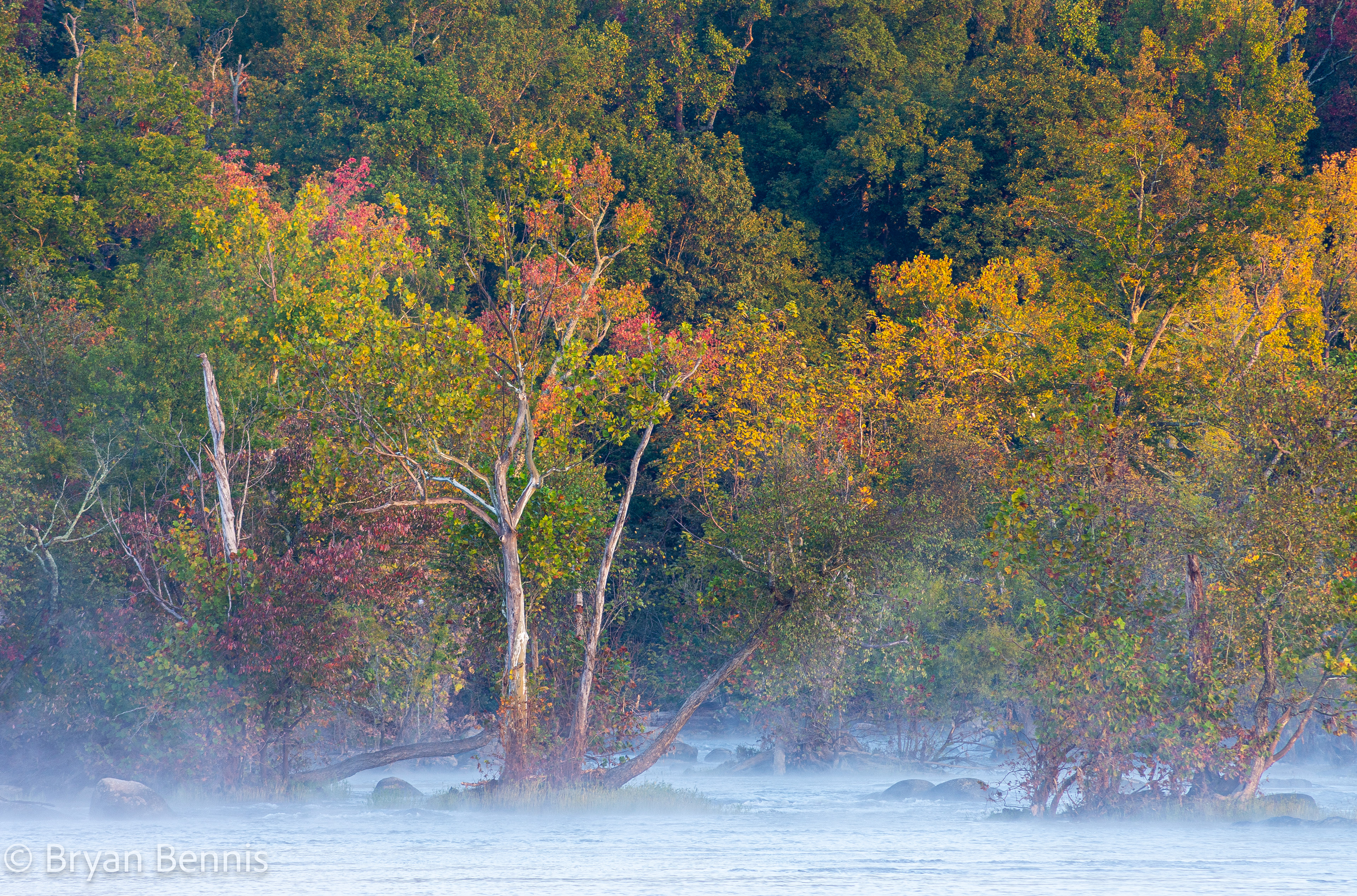 Colors of Fall