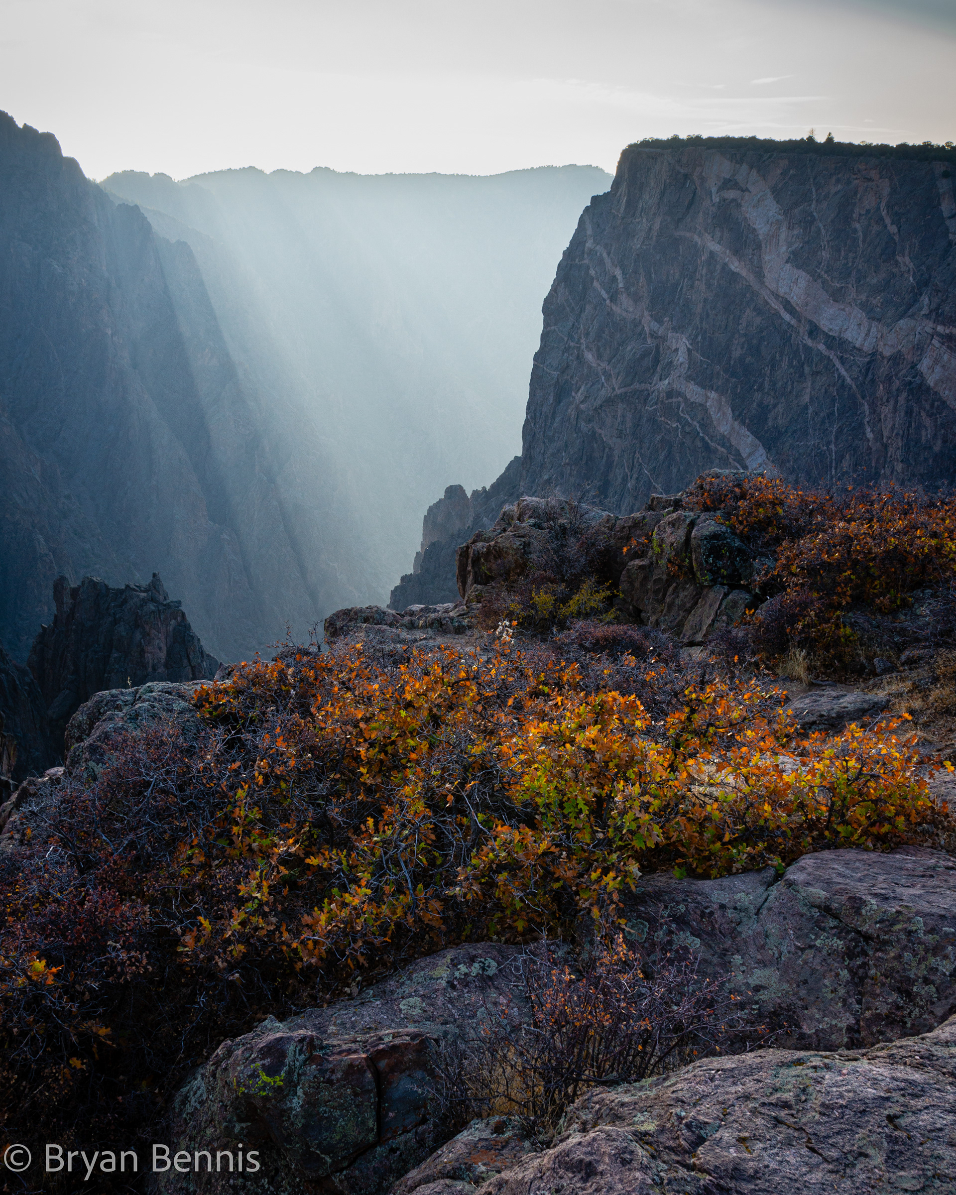 Black Canyon Rays