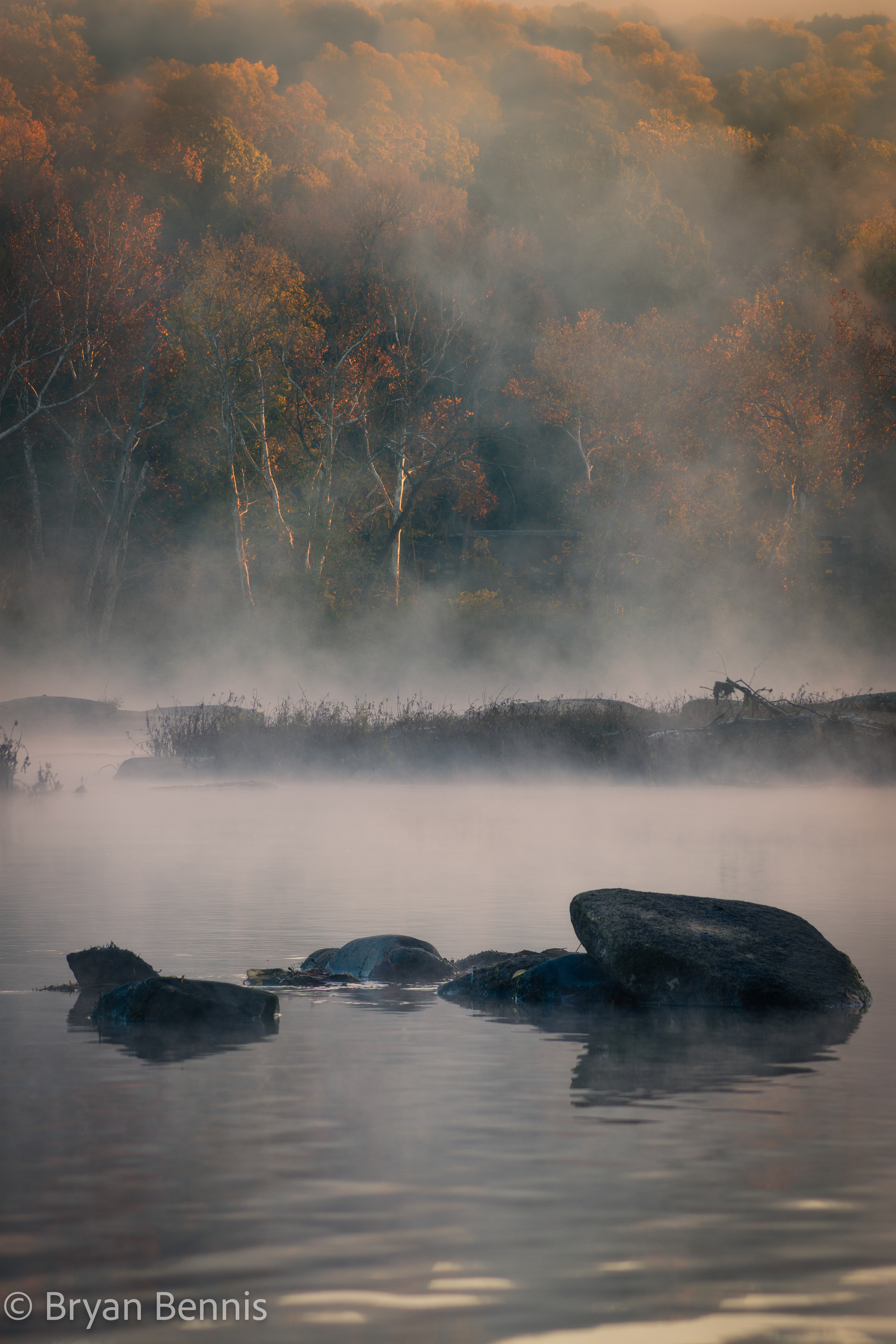 Misty Morning