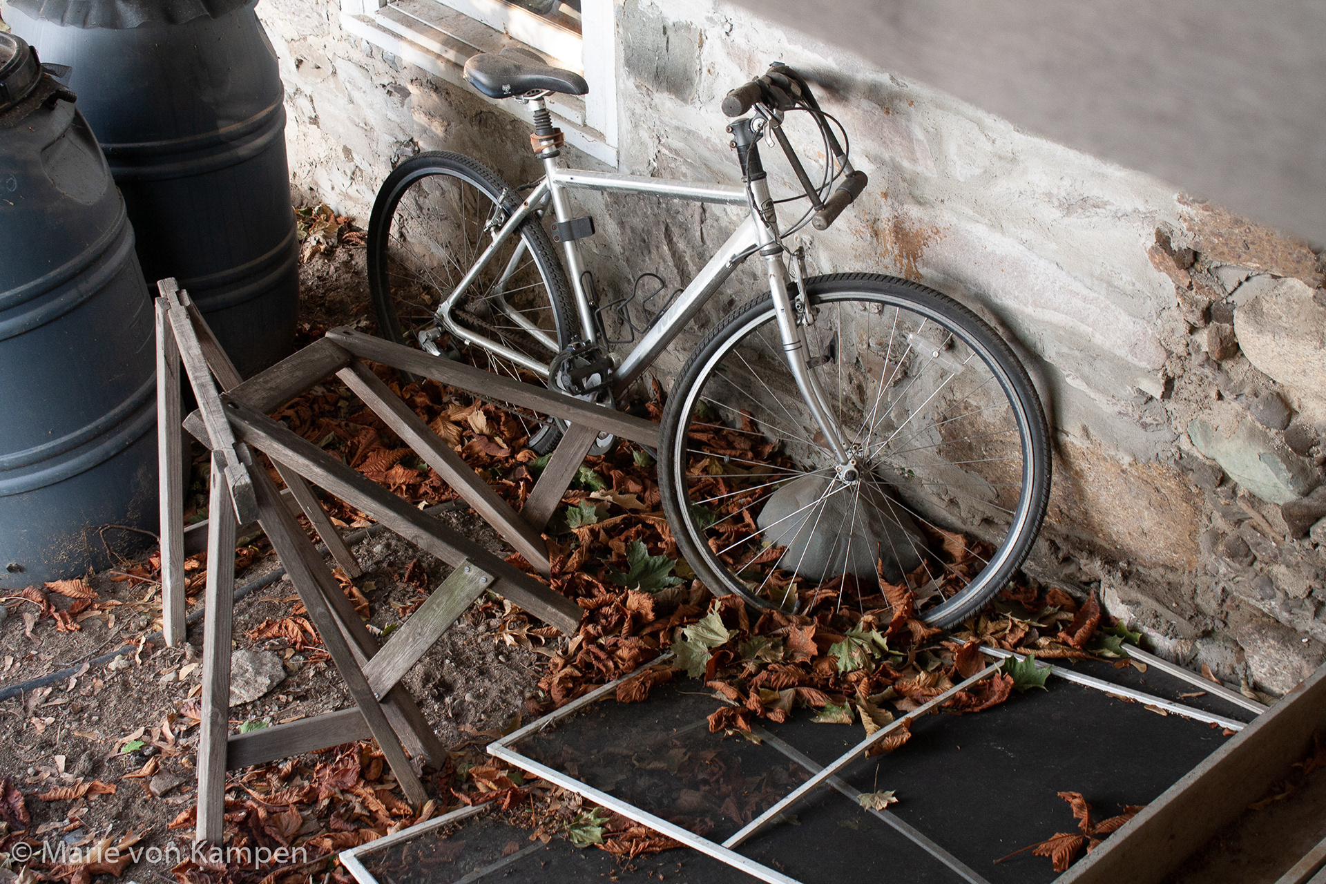 Image 3: Under the porch. October 23, 2020, Brookline, MA. 1/30s f5.6 ISO 400 Lens: EF-S18-55 f/3.5-5.6 IS (EFL 32mm). Photo by Marie von Kampen
