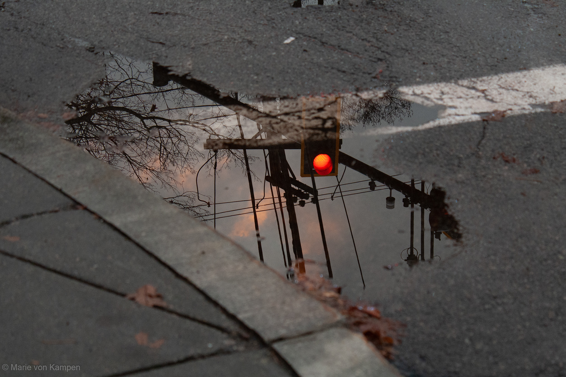 Reflection on a Thanksgiving walk. Taken in Brookline, MA, on Thursday, November 26, 2020. f5.6 (1/25s ISO 800) Lens: EF-S18-55mm f/3.5-5.6 IS (EFL 55mm) Photo by Marie von Kampen