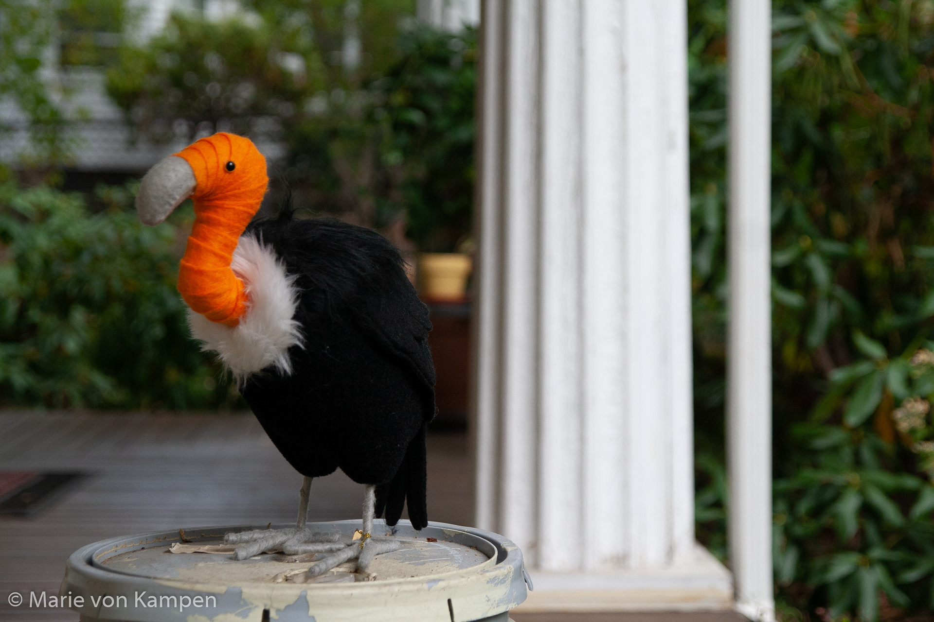 f16.0 (1/40s ISO 400)