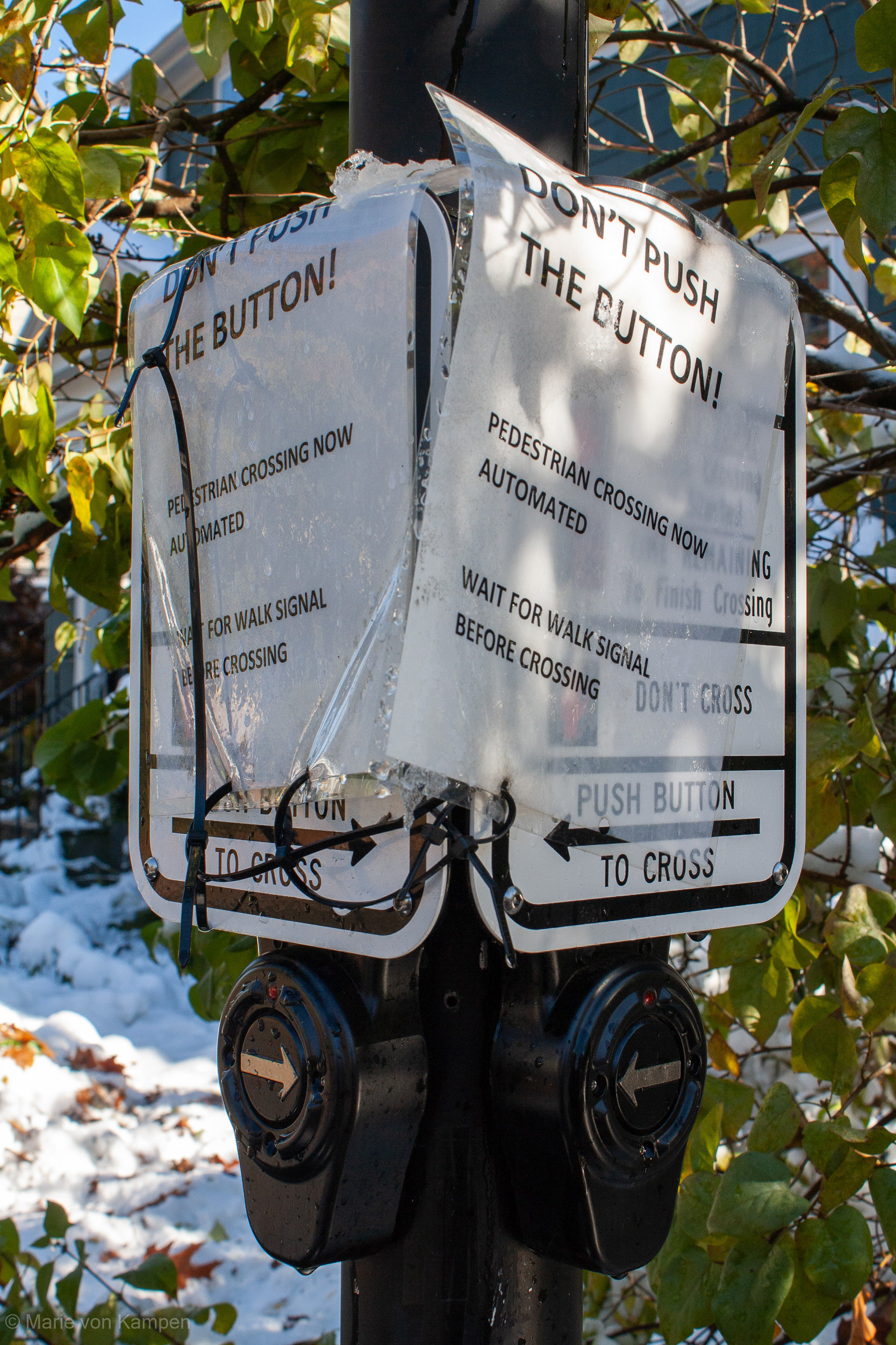 Extra signs on the crosswalk. Taken in Brookline, MA, on Saturday, October 31, 2020. f8 (1/320s ISO400) Lens: EF-S18-55mm f/3.5-5.6 IS (EFL 28mm) Photo by Marie von Kampen