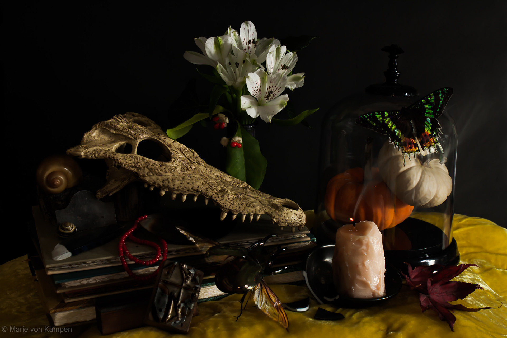 Vanitas Selfie. All items that are owned by the photographer composed together to create a still life in the Dutch style of Vanitas. Taken in Brookline, MA, on Saturday, November 14, 2020. f8 (0.6s ISO 100) Lens: EF-S18-55mm f/3.5-5.6 IS (EFL 36mm) Photo by Marie von Kampen