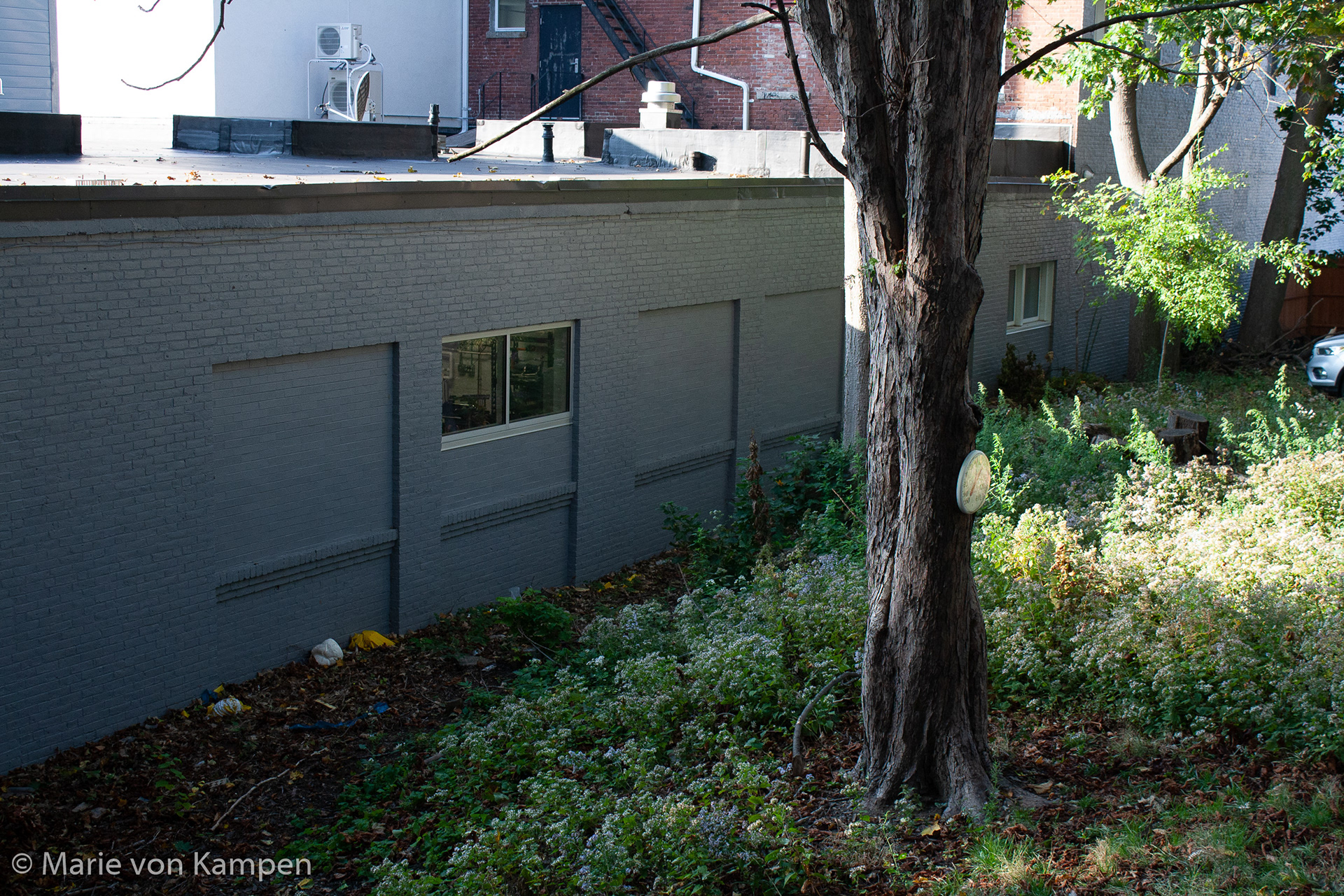 Image 4: Back of the mechanic's shop. October 23, 2020, Brookline, MA. 1/200s f5.6 ISO 400 Lens: EF-S18-55 f/3.5-5.6 IS (EFL 32mm). Photo by Marie von Kampen