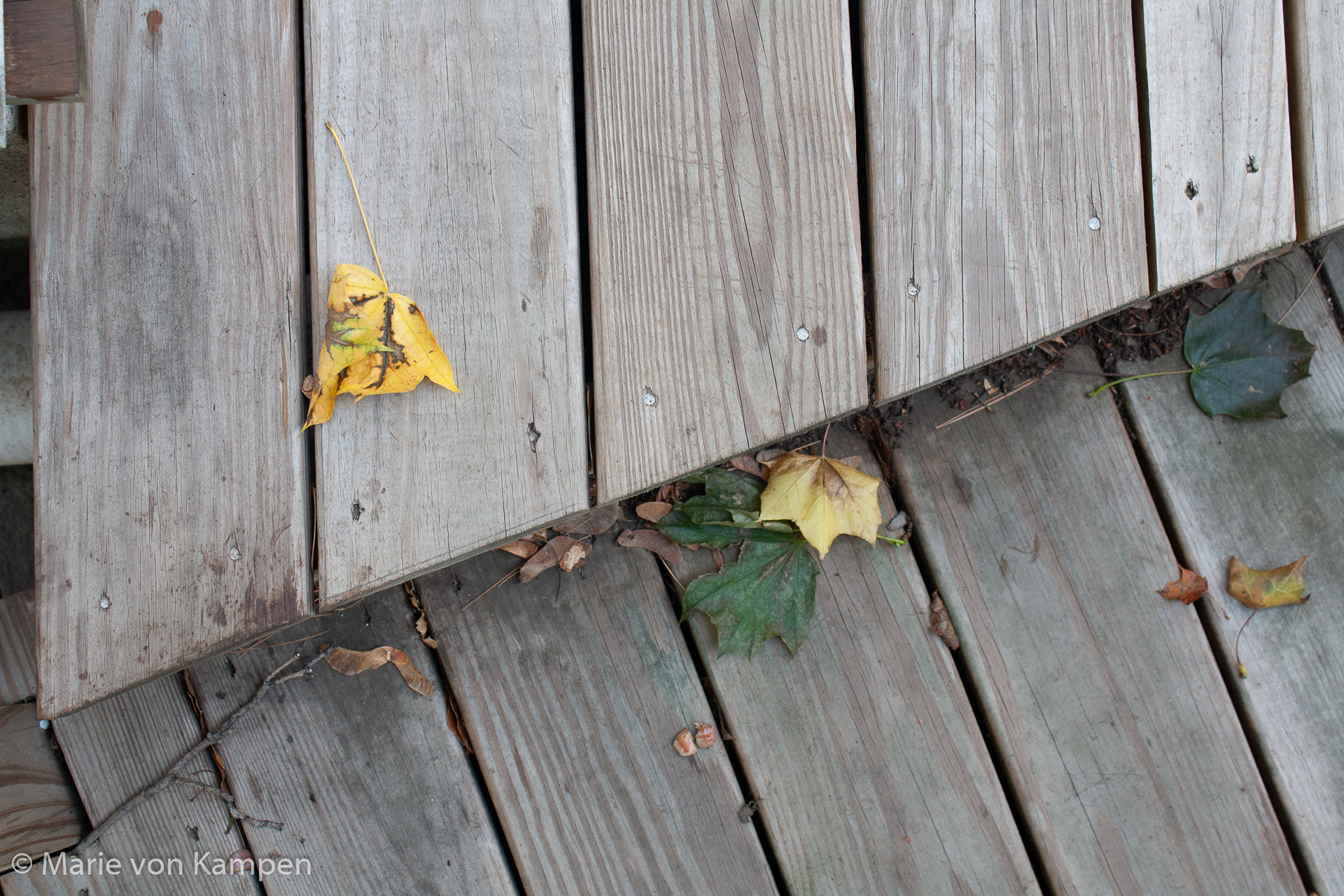 Image 8: Top of the stairs. October 23, 2020, Brookline, MA. 1/50s f5.6 ISO 400 Lens: EF-S18-55 f/3.5-5.6 IS (EFL 32mm). Photo by Marie von Kampen