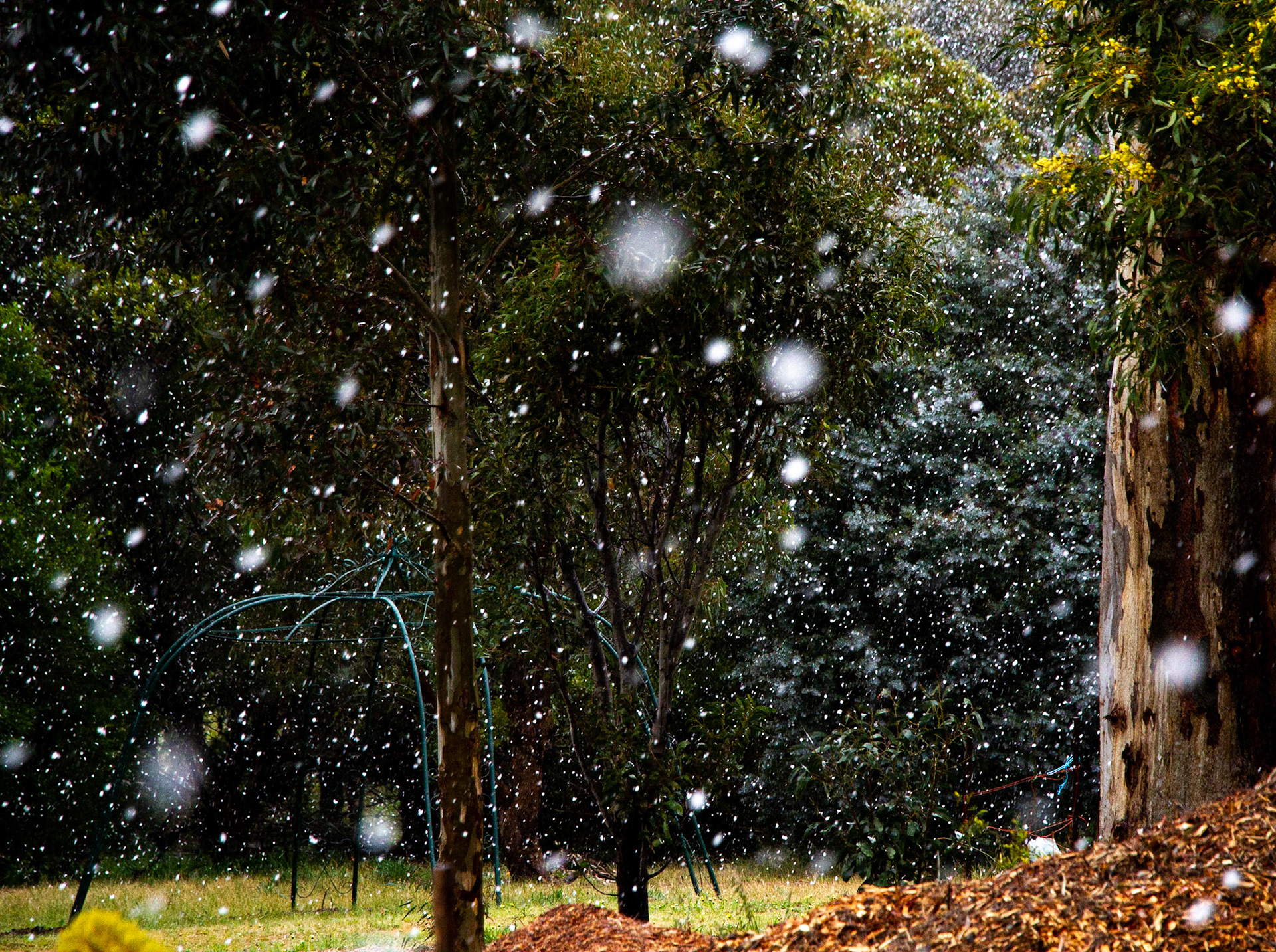 Snow falls in Shelford