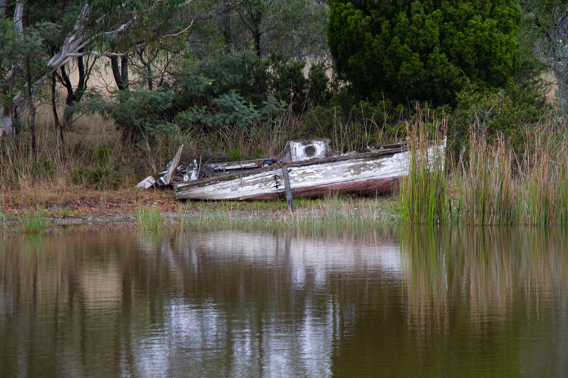 Red Echidna studio Smythesdale Vic.