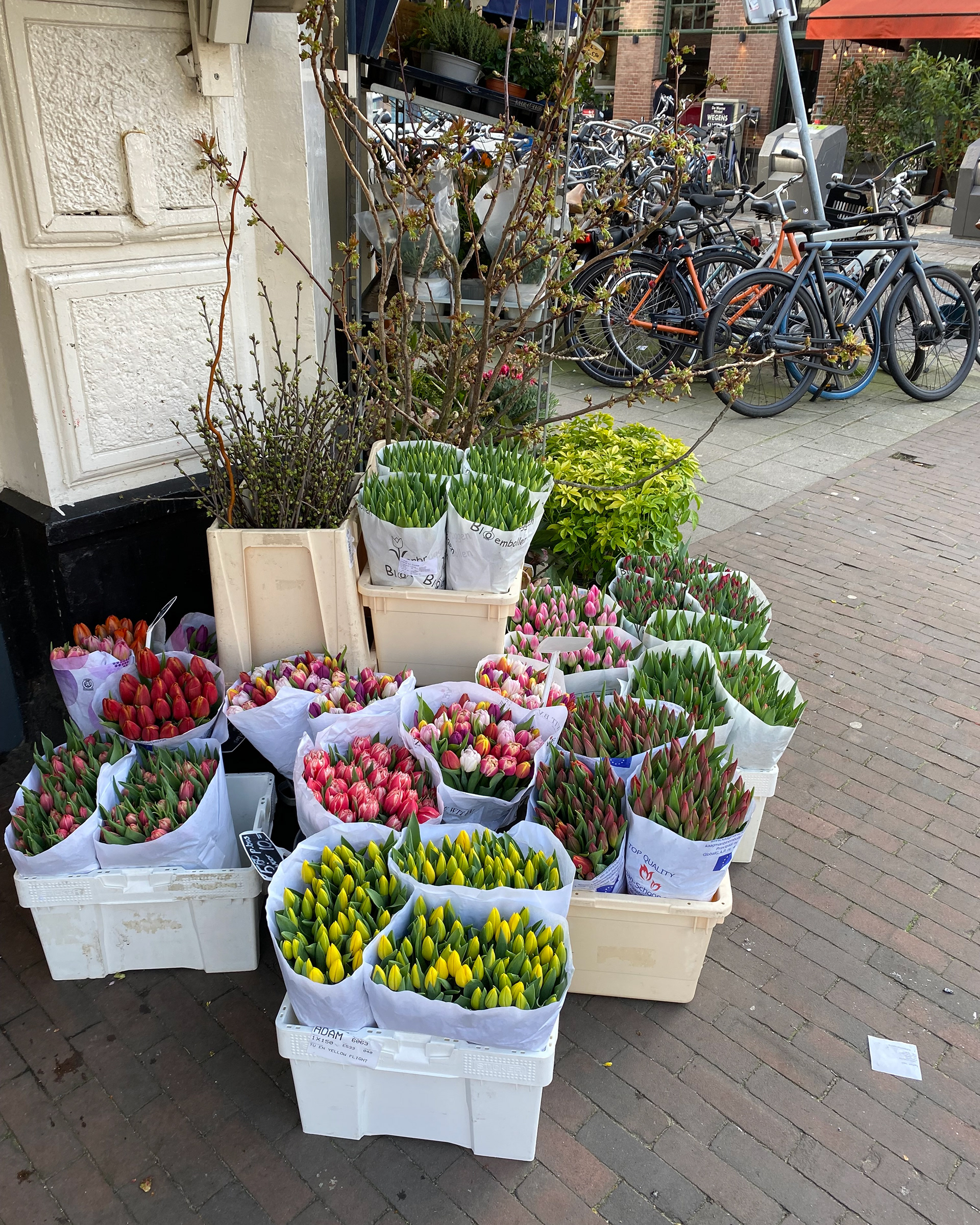 Amsterdam, Netherlands 2023