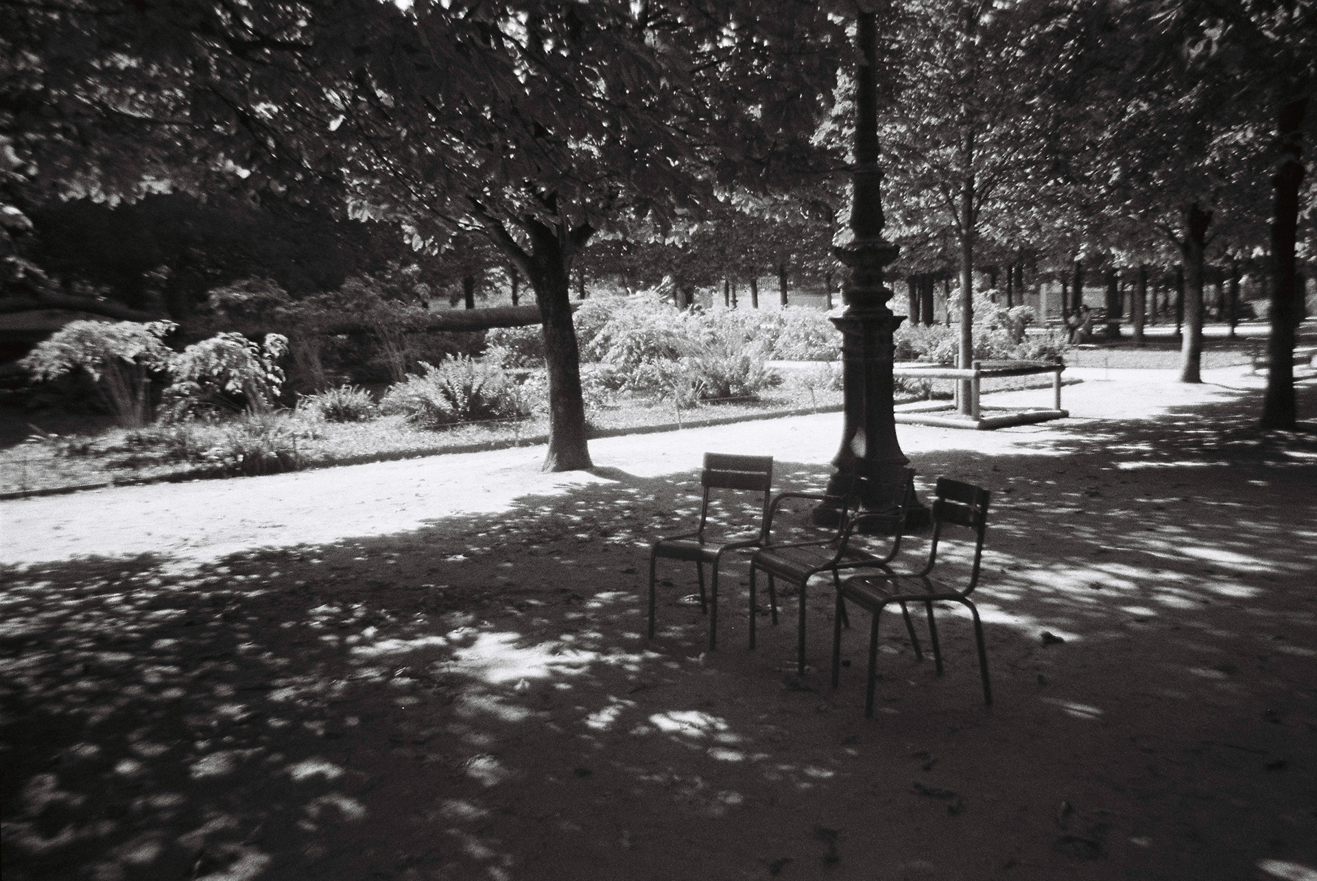 Jardin du Luxembourg - Paris, France 2023