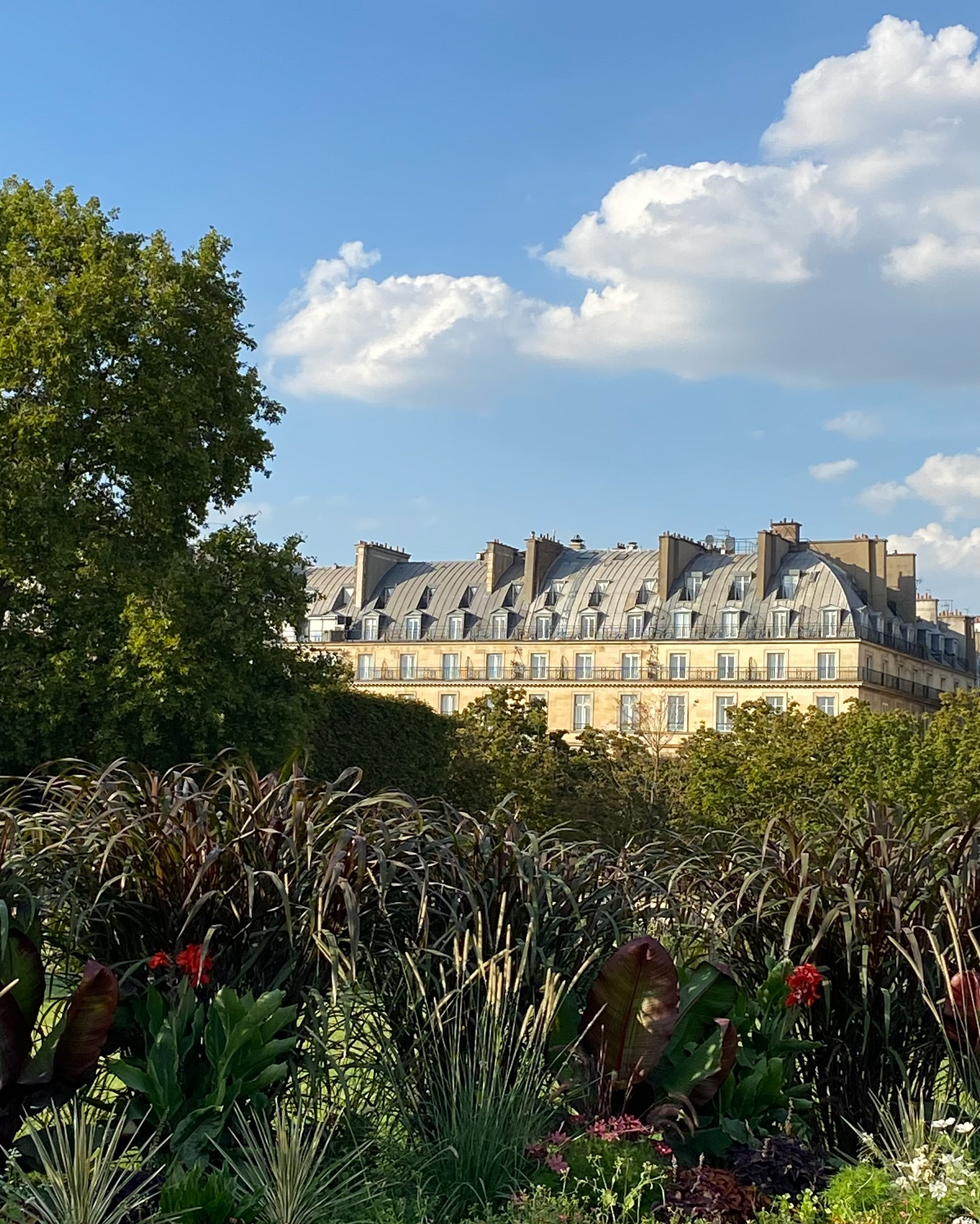 Jardin des Tuileries - Paris, France 2023