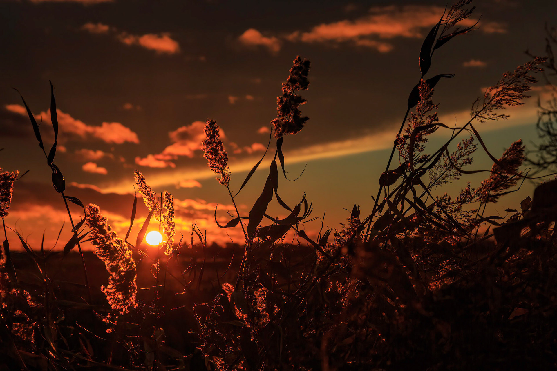 Sunset over Halvegate Marsh  (Nov-18)