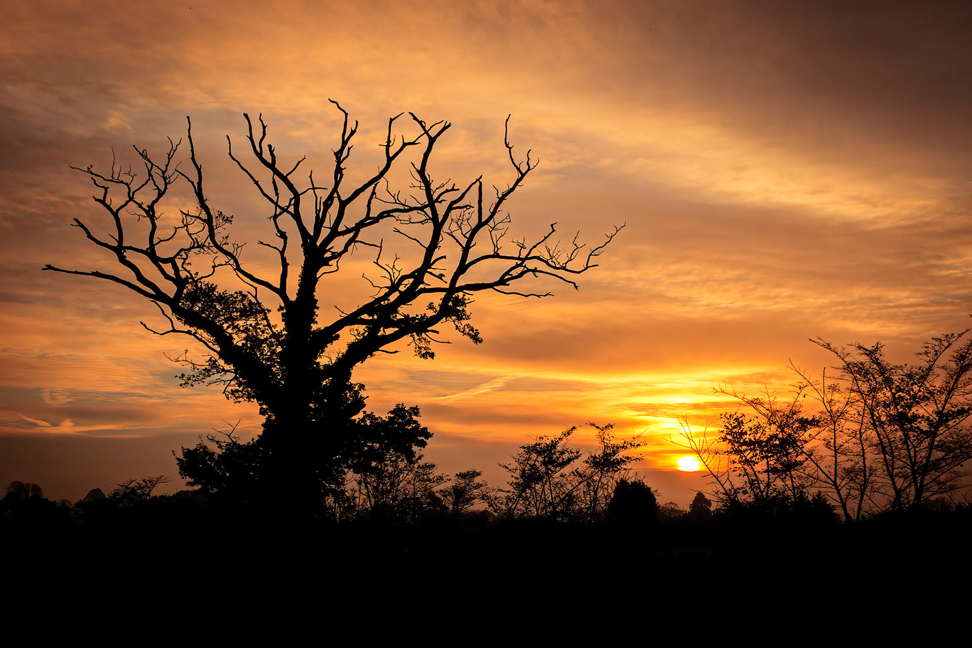 Sunrise Mellis Suffolk (Nov-04)