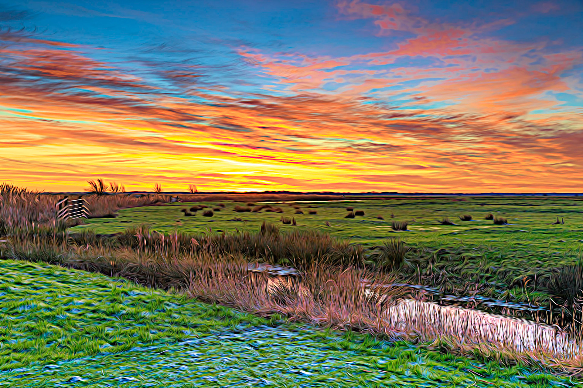 Sunrise over Halvergate Marsh (Jan-21)