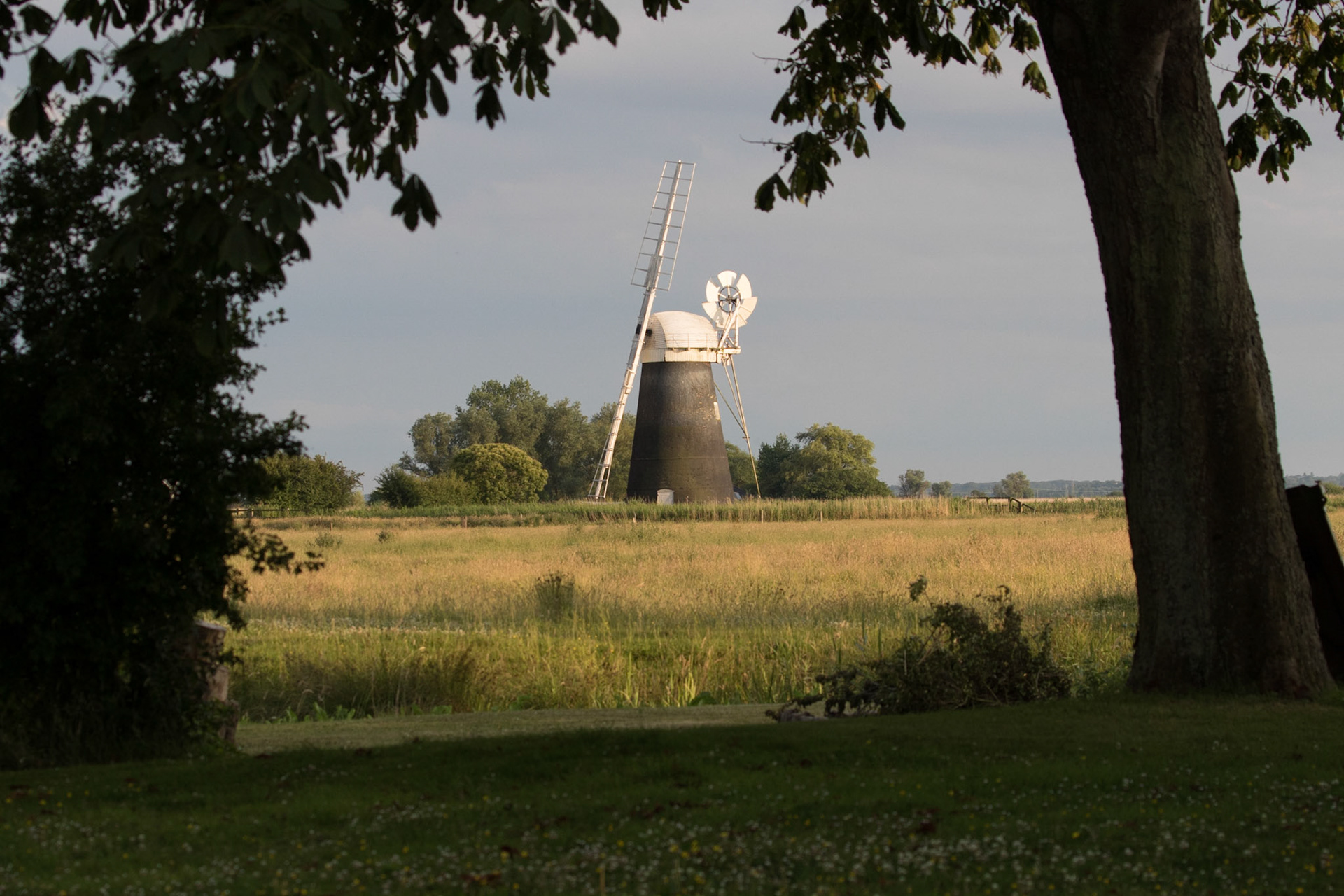 Mutton's Mill in the evening sun  (July 2017)