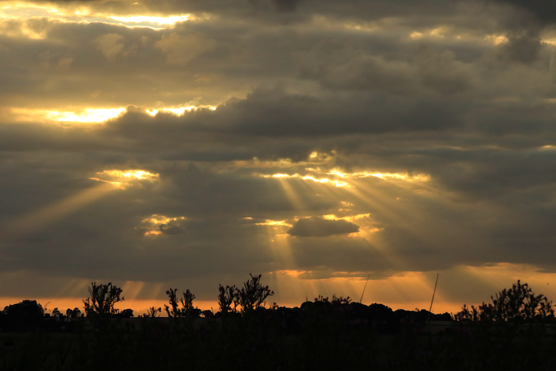 Sunset on Halvergate Marsh (Jul-15)