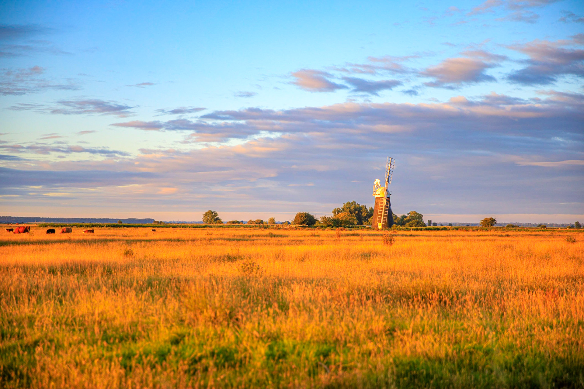 Sunset on Mutton's Mill (Jul-20)