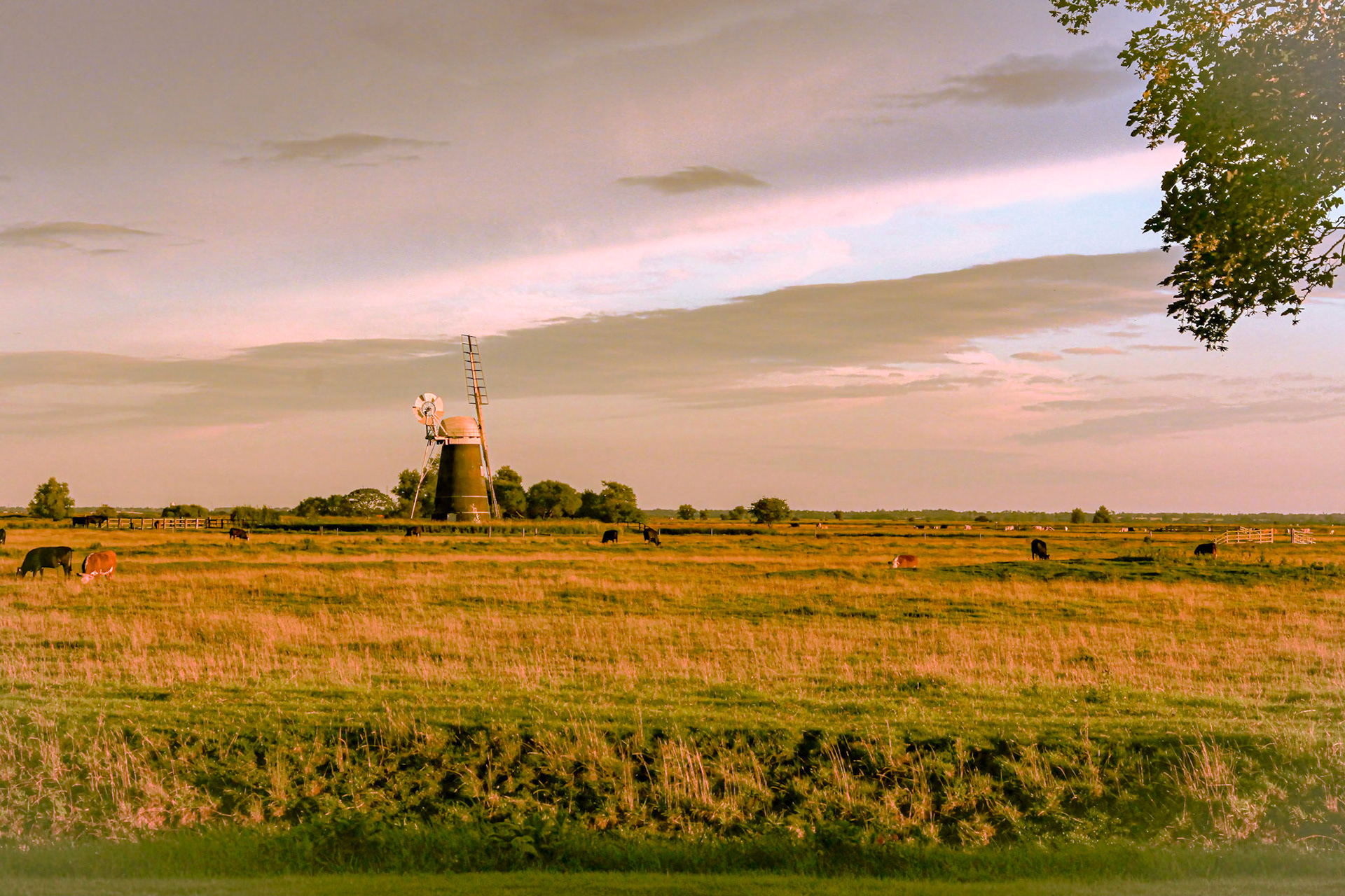 Mutton's Mill in the evening sun  (August 2011)
