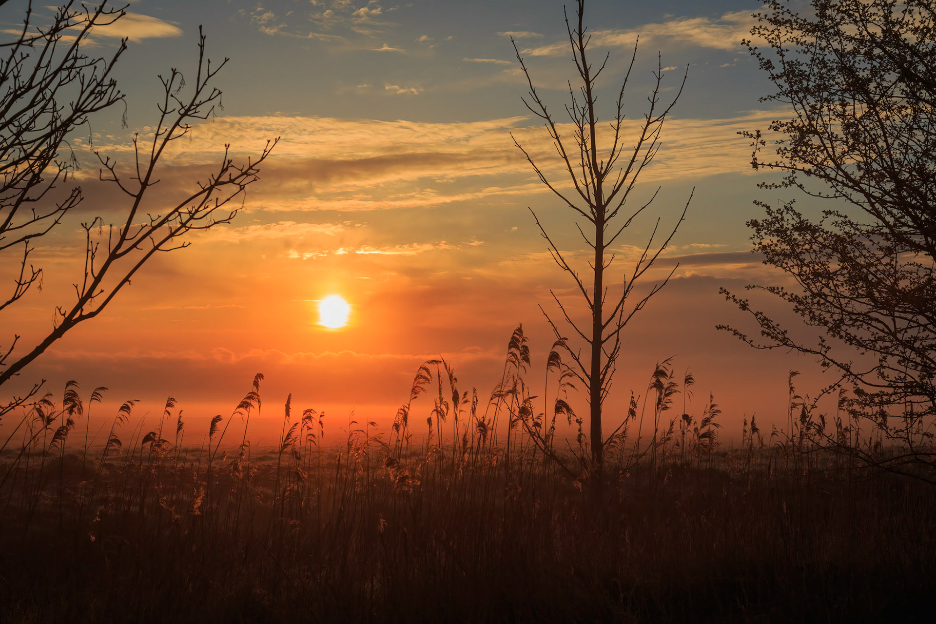 Sunrise over Halvergate Marsh (Mar-21)