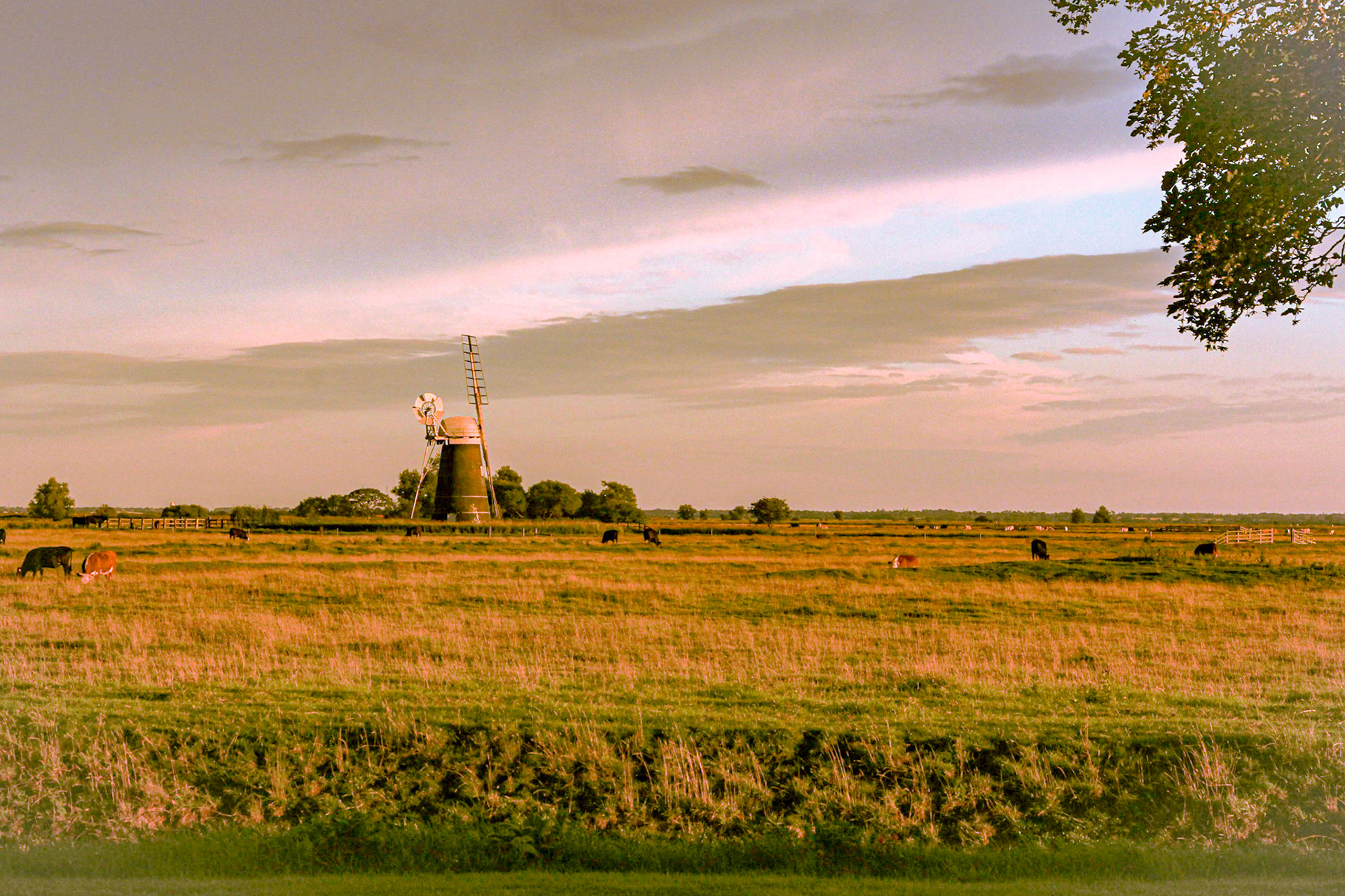 Mutton's Mill in the evening sun  (August 2011)