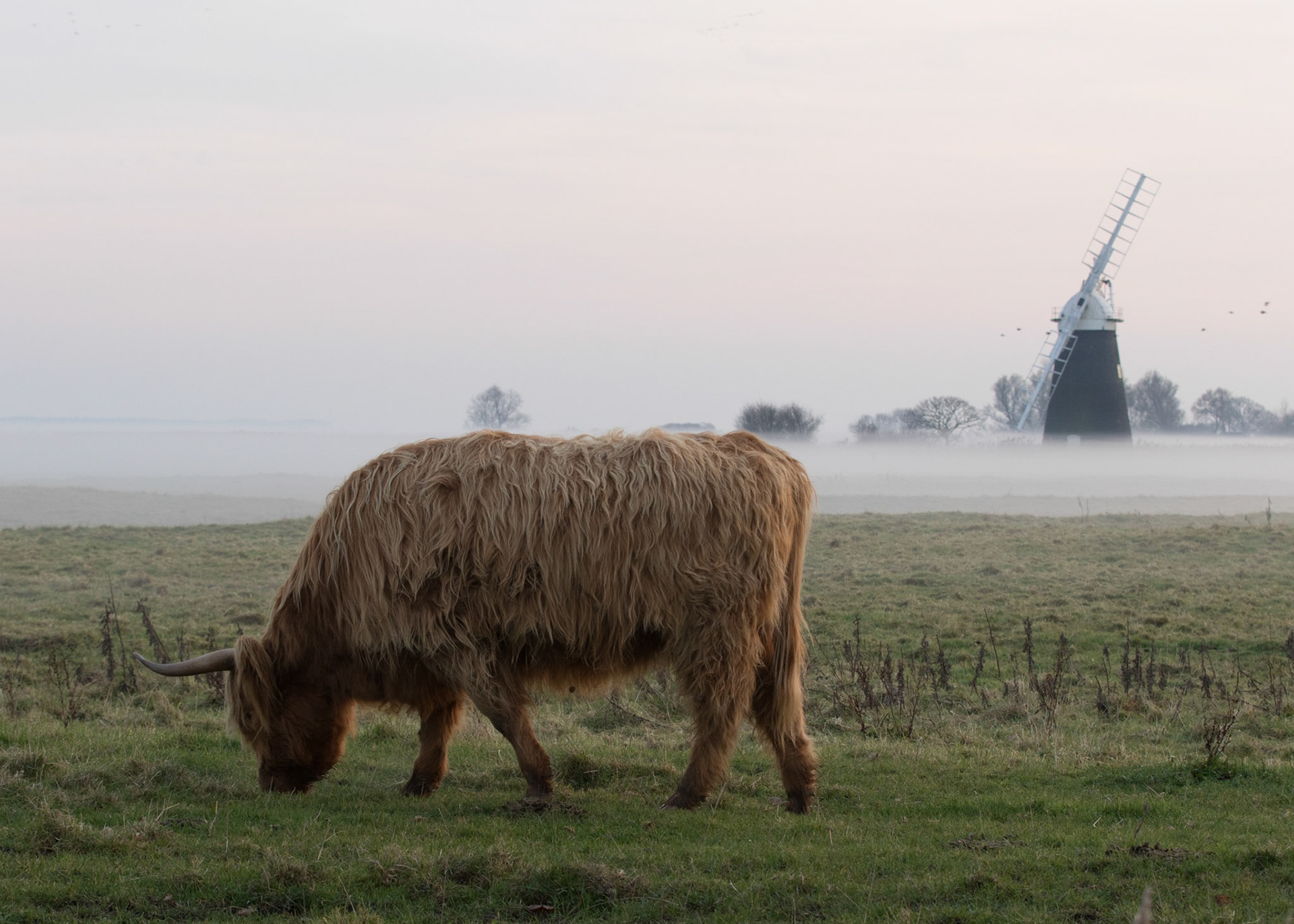 Muttons Mill in the mist (December 2016)