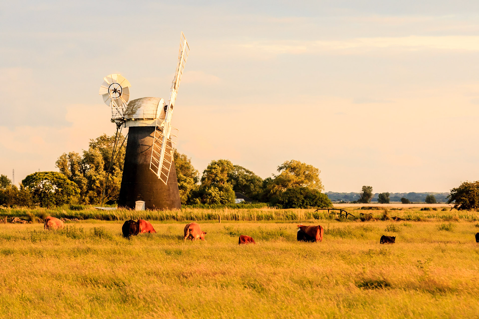 Mutton's Mill in the evening sun  (July 2019)